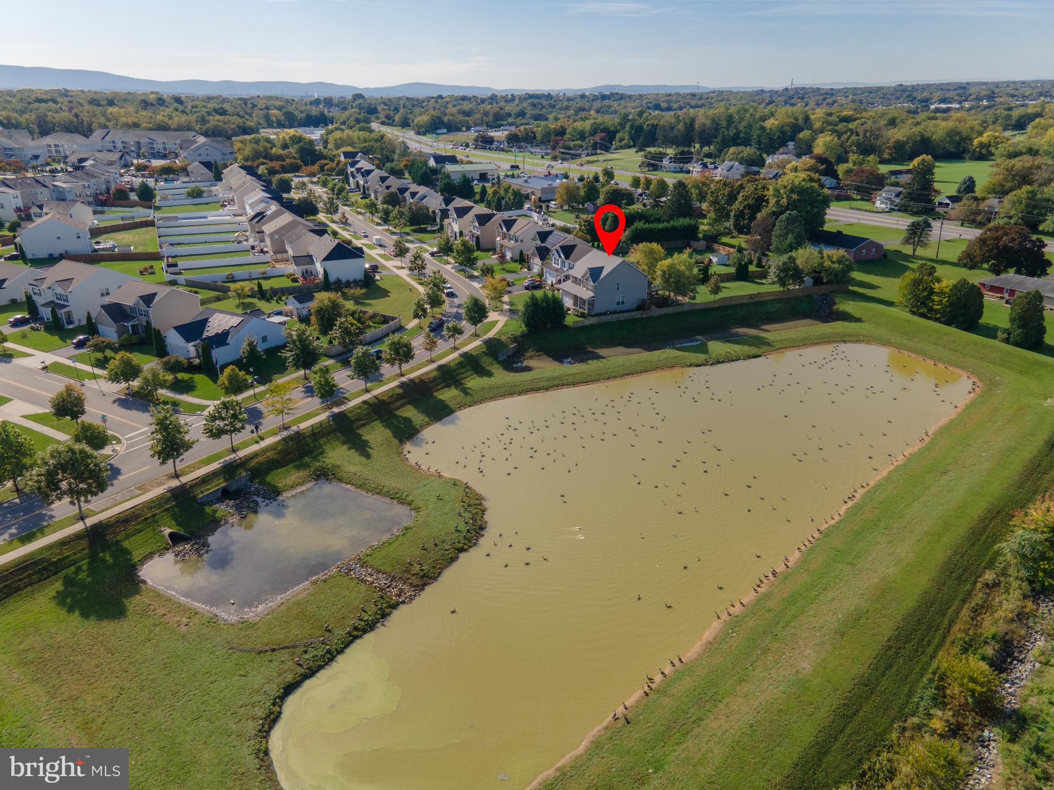 GREENFIELD AT COLLEGIATE ACRES - Residential