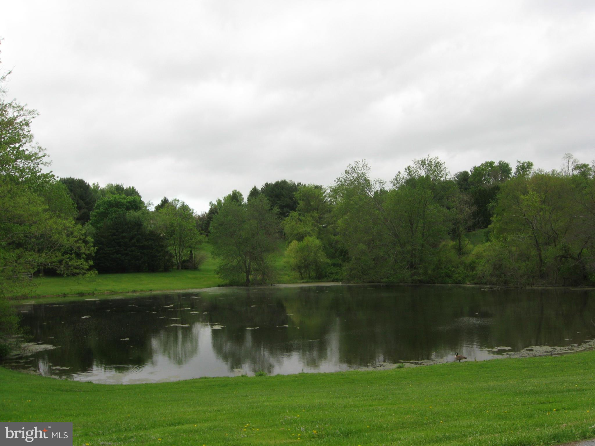 HILLANDALE HOMES - Residential