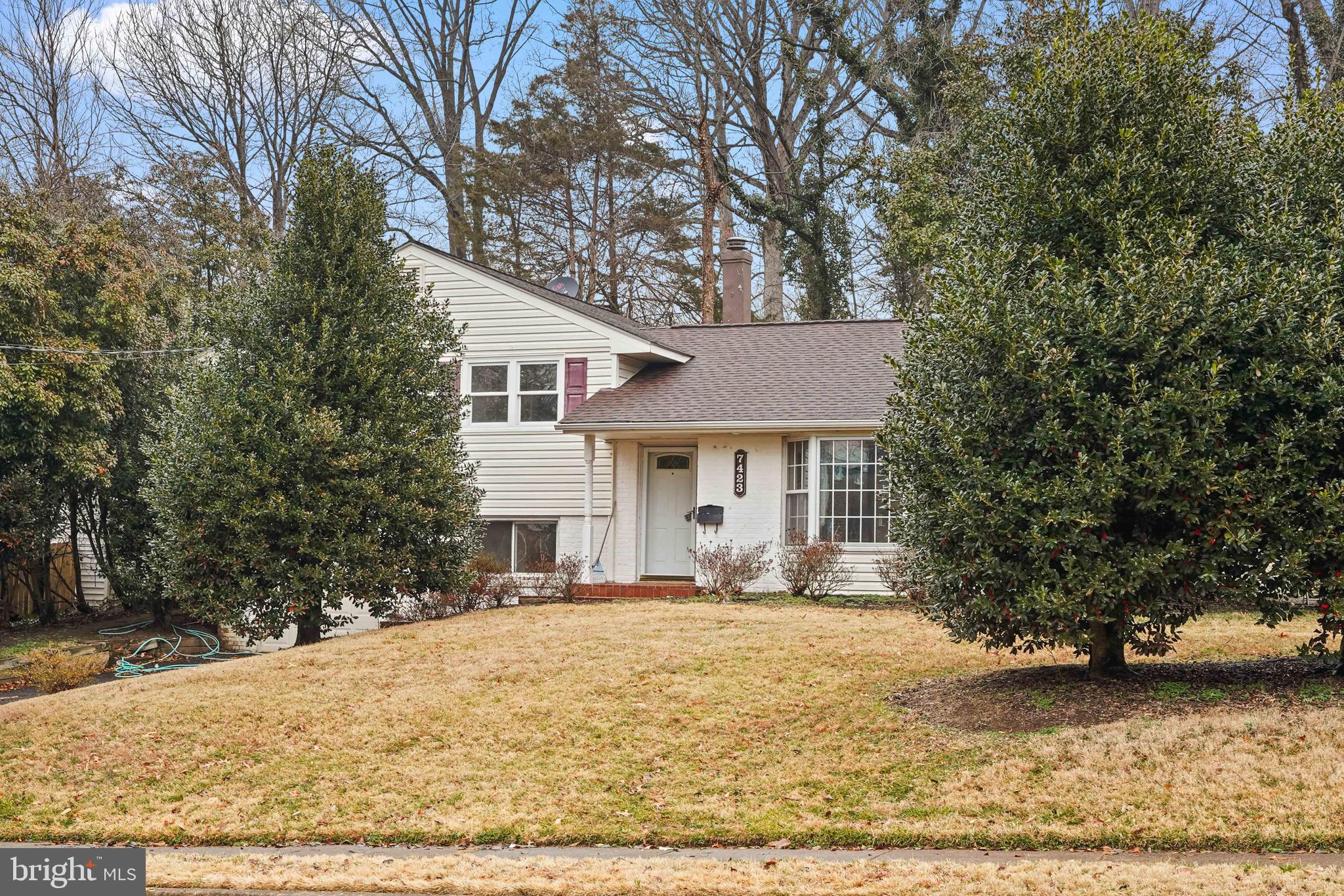 SPRINGFIELD - Residential