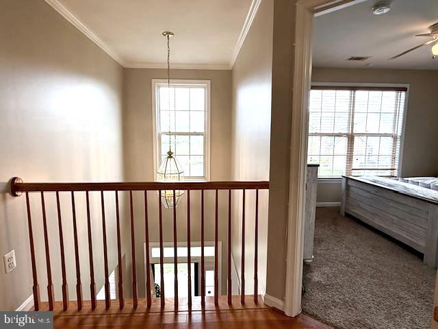 CLOVER RIDGE - Residential