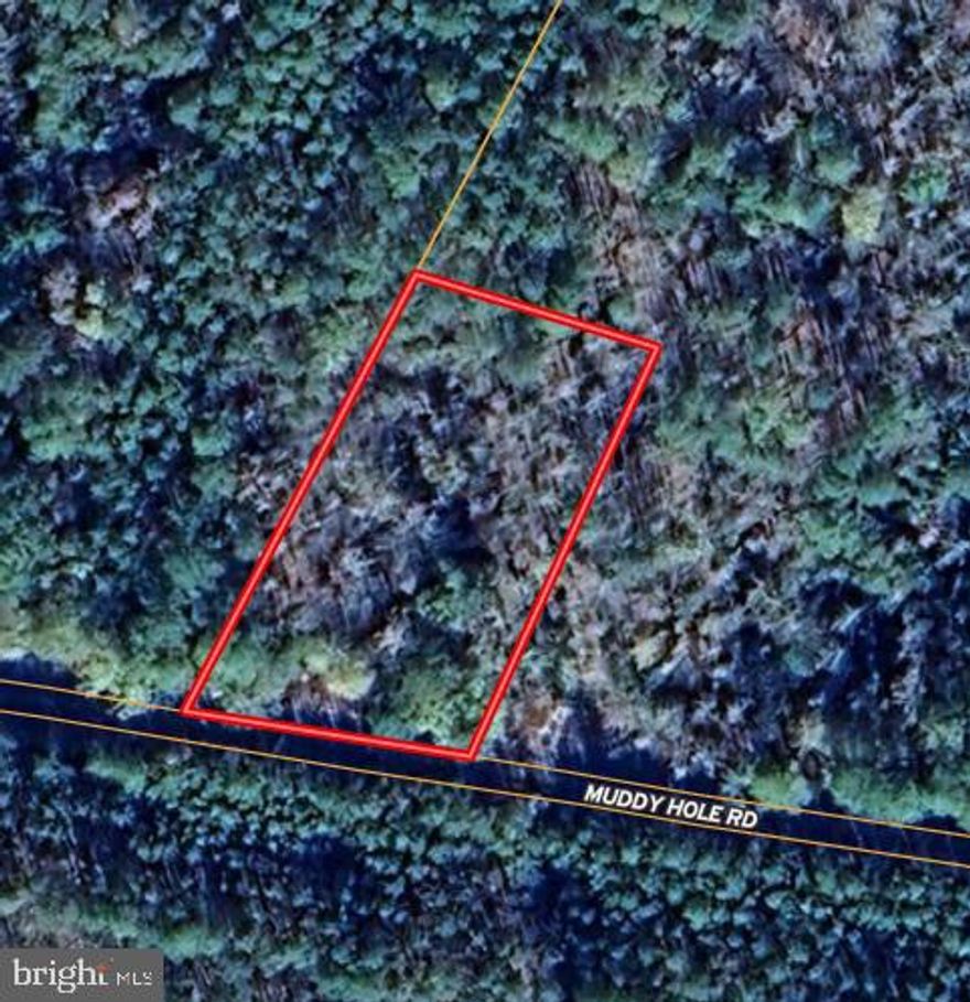 1.5+- wooded acres in proximity to the Ellis Bay Wildlife Management Area, Chesapeake Forest, and public boat ramps. A lot to park your camper for a place to stay while enjoying your recreational, including whitetail and turkey hunting, activities in the area. No conservation easements.