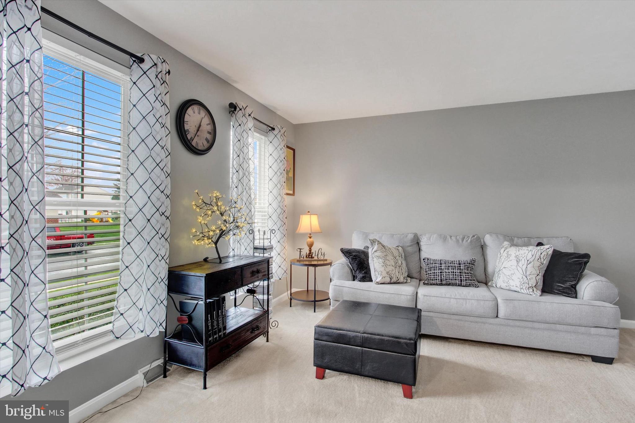 SOUTH BRANCH ESTATES - Residential