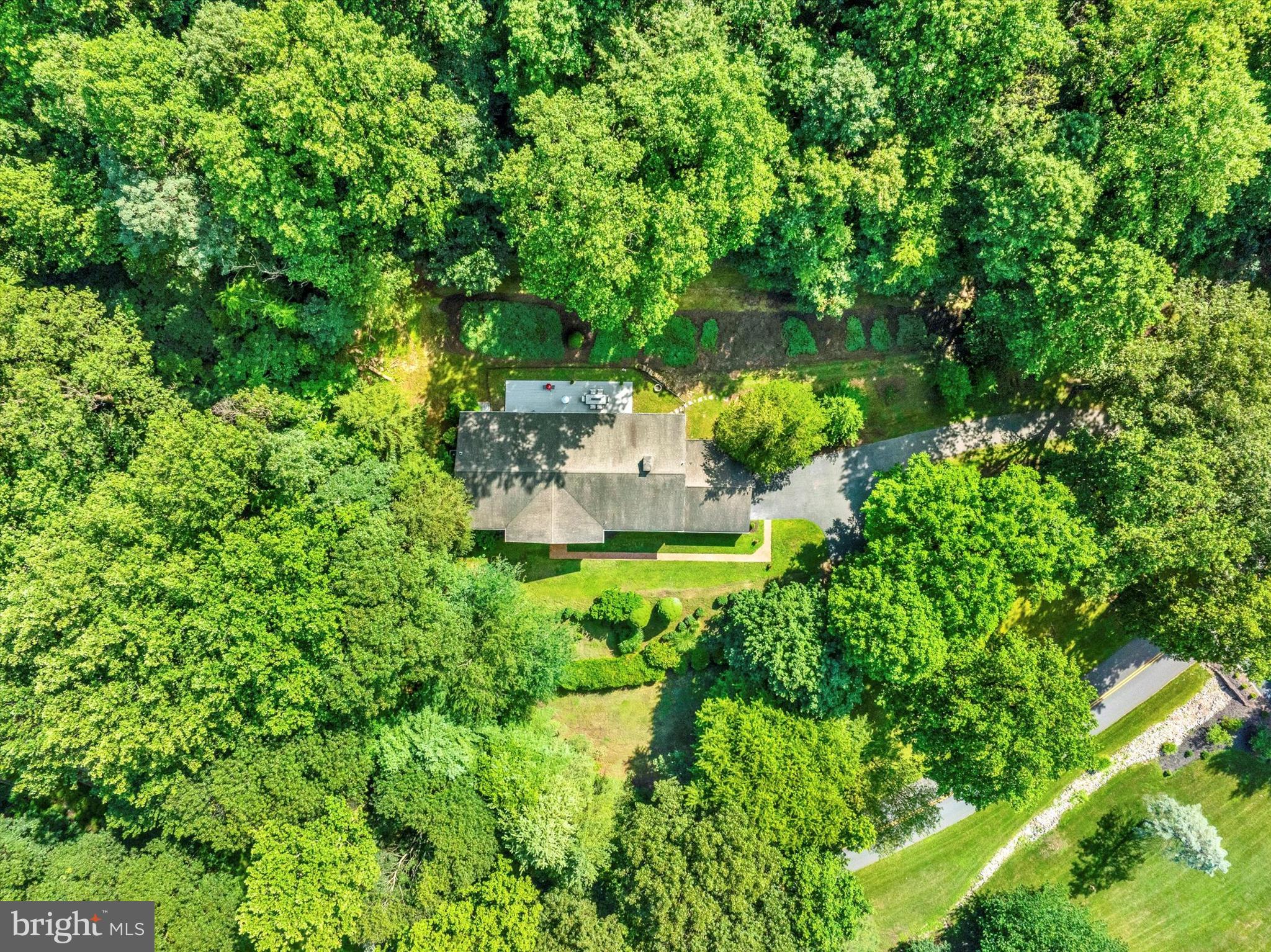 ANGELICA WOODS - Residential