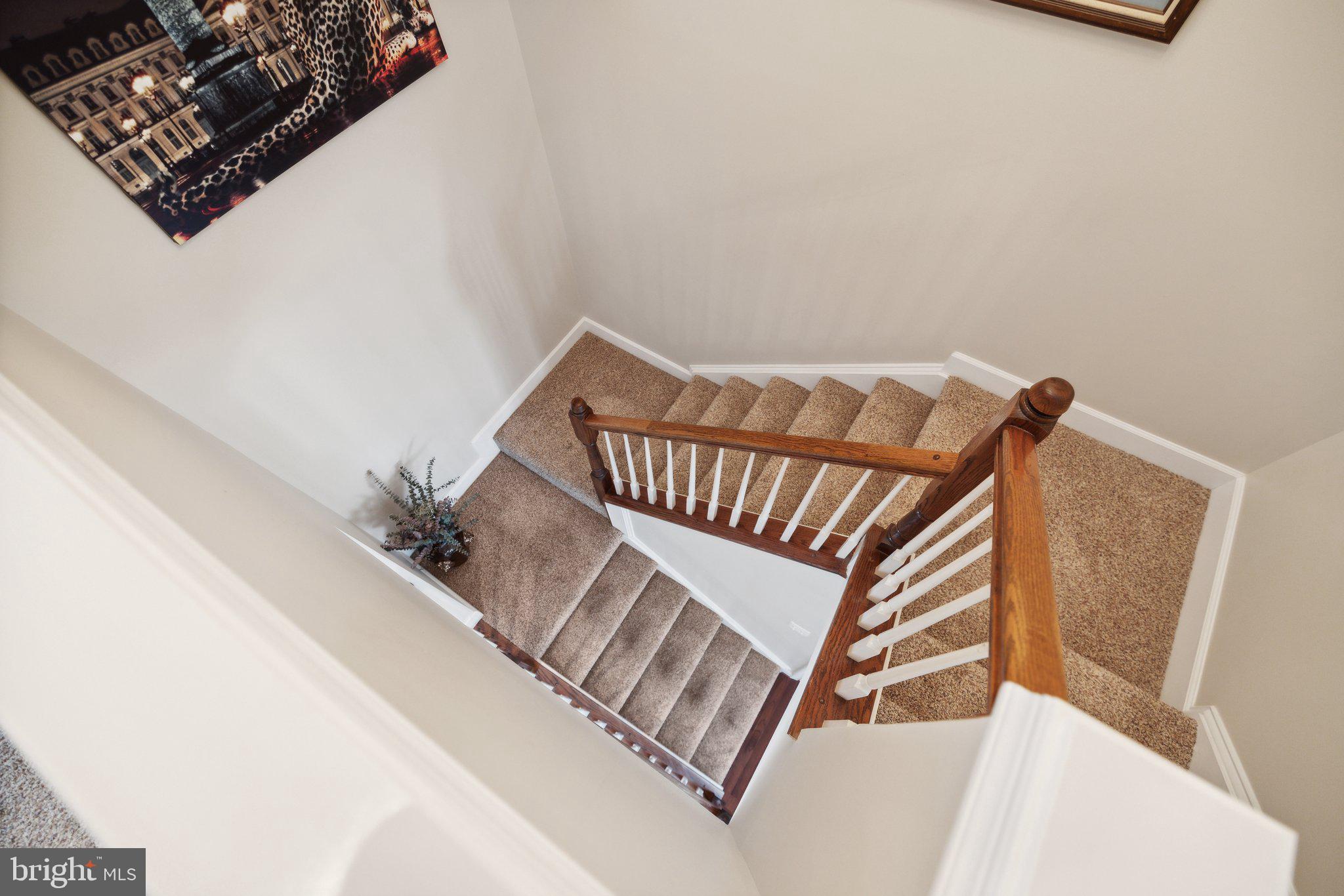 POTOMAC CLUB - Residential