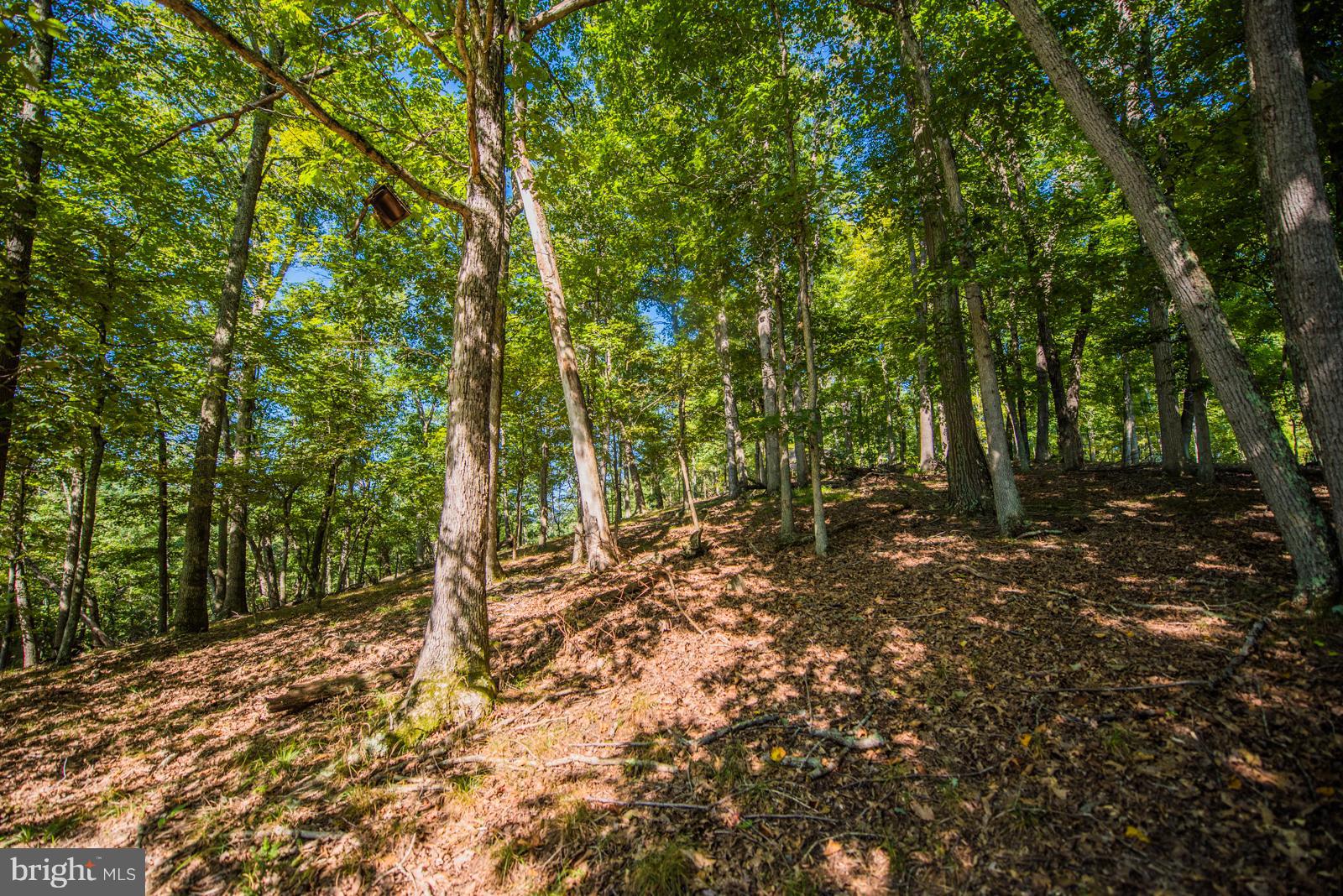 RIVER RIDGE - Residential