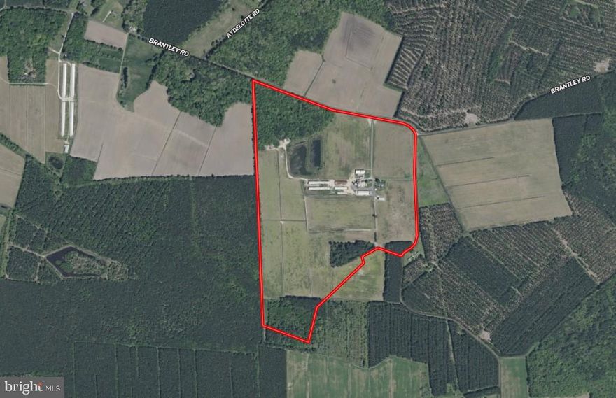 SEALED BID OFFERING: Wagram Creek Farm comprises approximately 137 acres of agricultural land located along Wagram Creek on Maryland’s Lower Eastern Shore. The property is subject to a Maryland Agricultural Land Preservation Foundation (MALPF) easement, which permanently restricts subdivision and non-agricultural development and preserves the land for agricultural and open-space use.

Approximately 104 acres are tillable and have been used for row-crop production. The remaining acreage includes approximately 19 acres of timber and several ponds totaling approximately 7 acres, along with areas associated with Wagram Creek.

The property includes a ranch-style residence and agricultural structures. The condition, permitted use status, and compliance of all improvements under the existing easement are to be verified by the buyer as part of due diligence. Wagram Creek Farm is suitable for agricultural use or ownership consistent with the terms of the MALPF easement. The easement limits future development potential and governs permitted uses of the land. Farm is subject to a Maryland Department of Environment environmental mitigation approval. It is the responsibility of the seller to complete such mitigation at their cost prior to closing. Full disclosure of mitigation project shall be provided at request.

DO NOT ENTER PROPERTY WITHOUT PERMISSION OF THE LAND GROUP. List price is the minimum bid requirement. Full bid package available through listing agent.