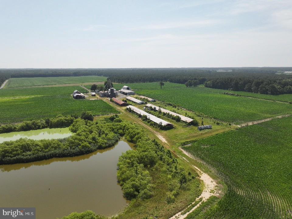 NONE AVAILABLE - Farm