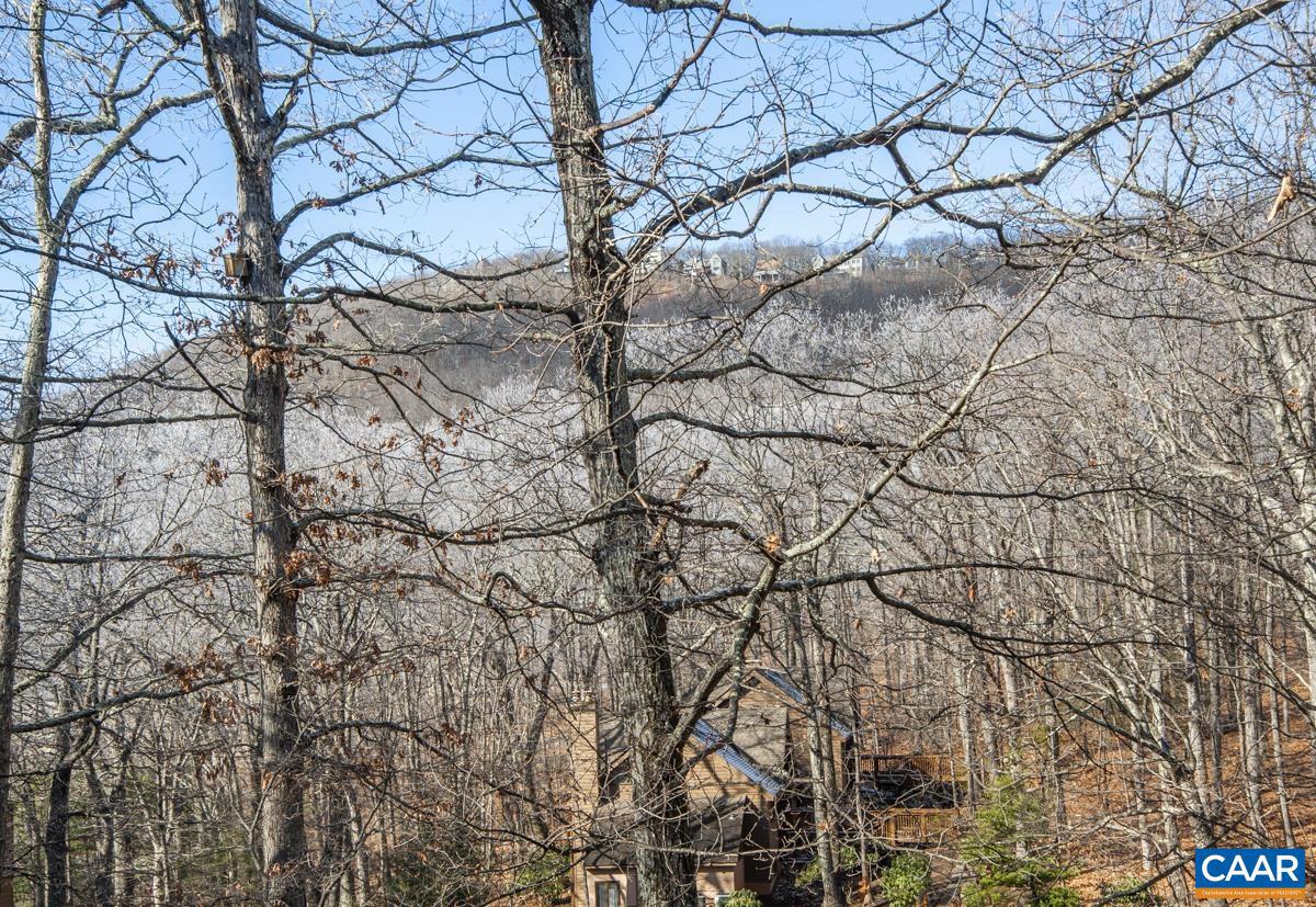 WINTERGREEN RESORT - Residential