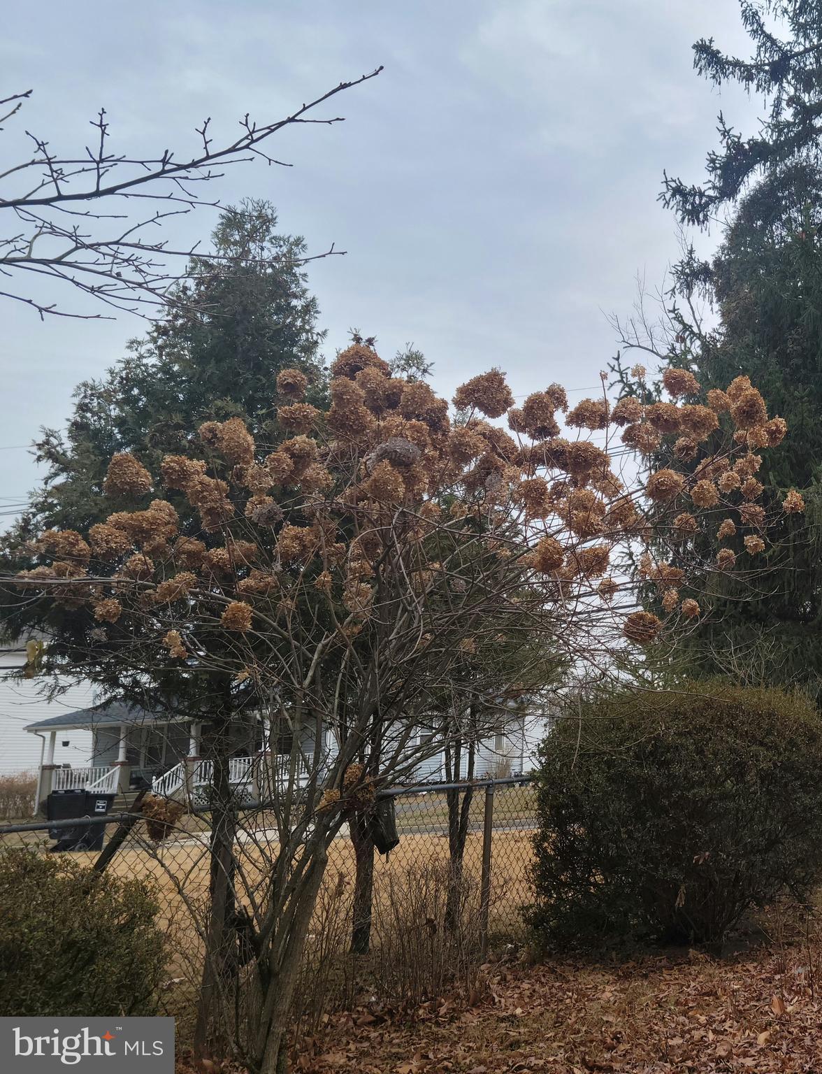 370 EGGERTS CROSSING ROAD