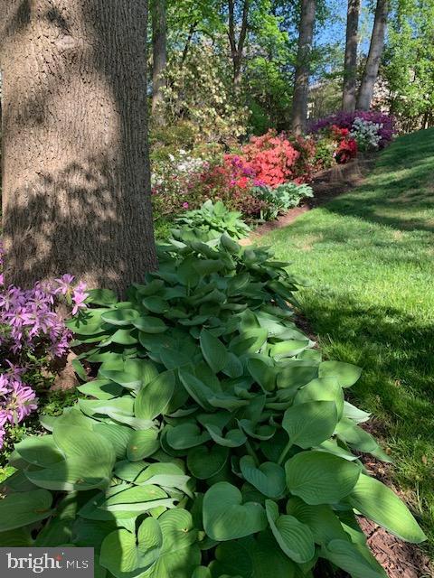 CEDAR RUN - Residential