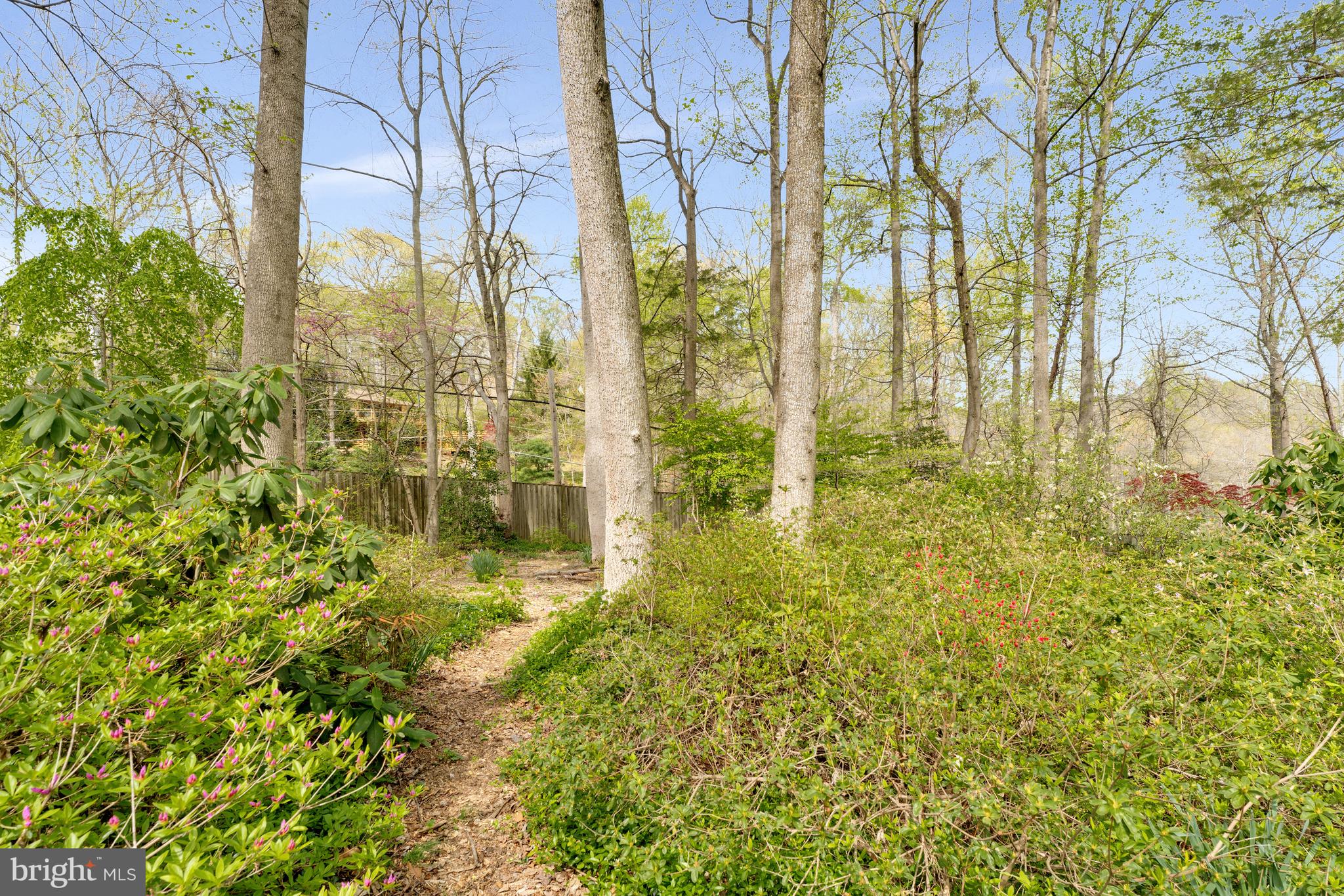 CEDAR RUN - Residential