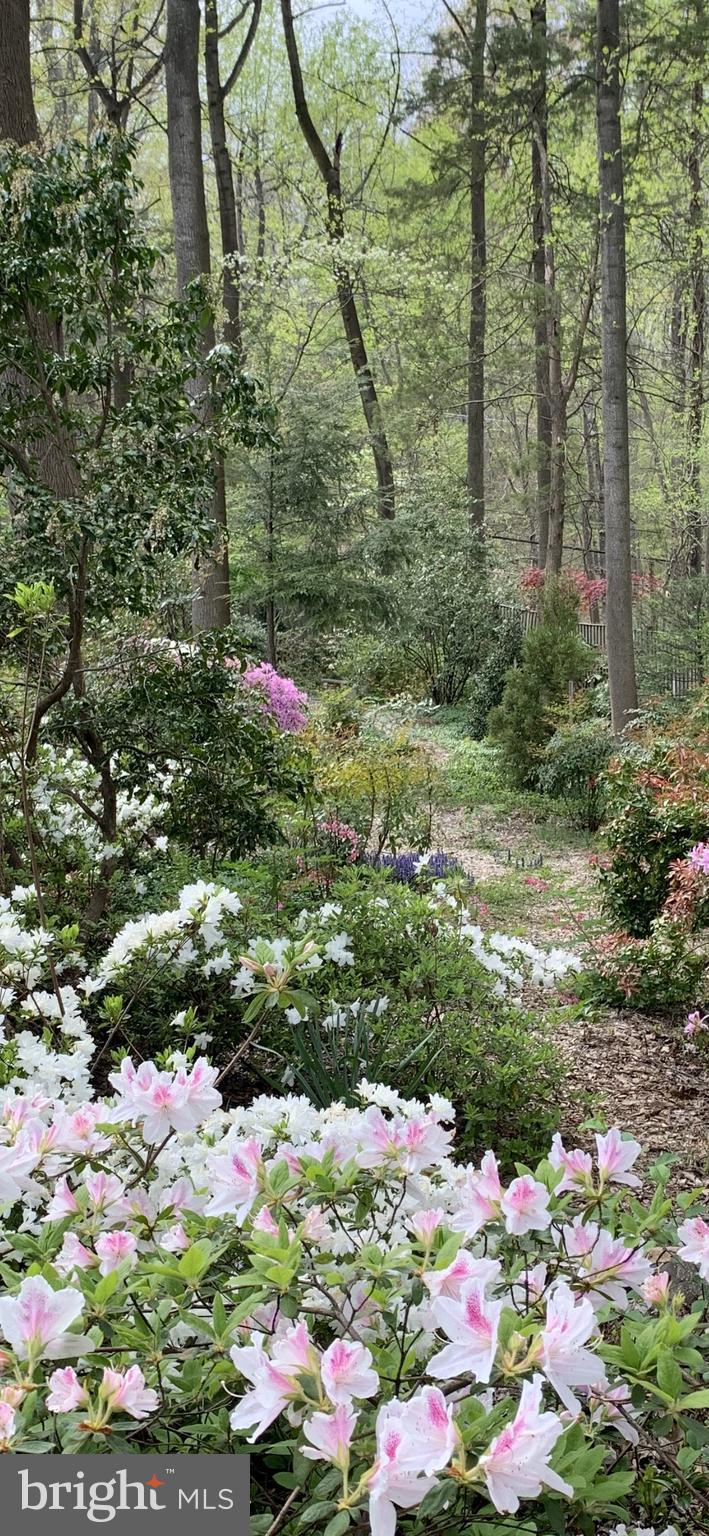 CEDAR RUN - Residential