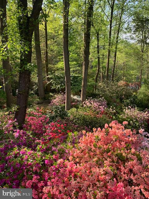 CEDAR RUN - Residential