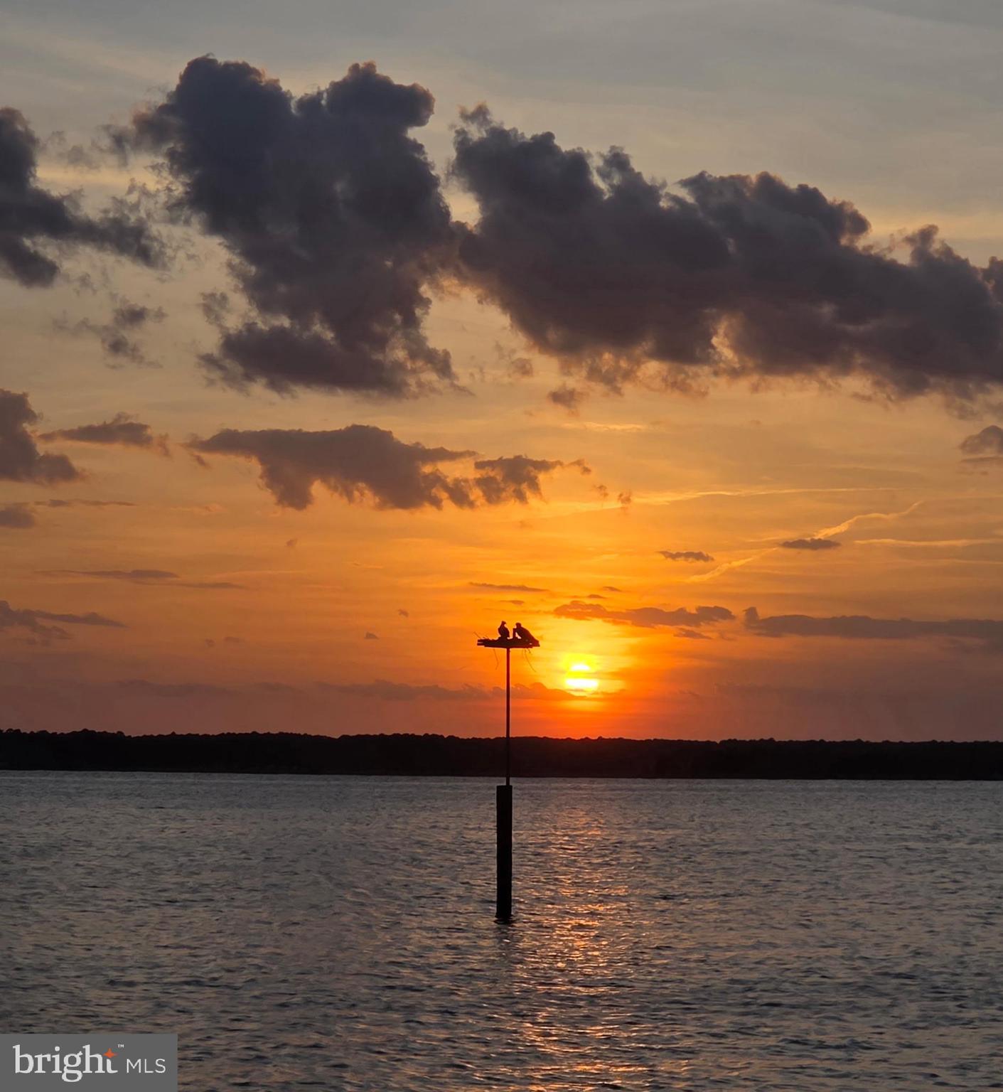 OXFORD - Residential