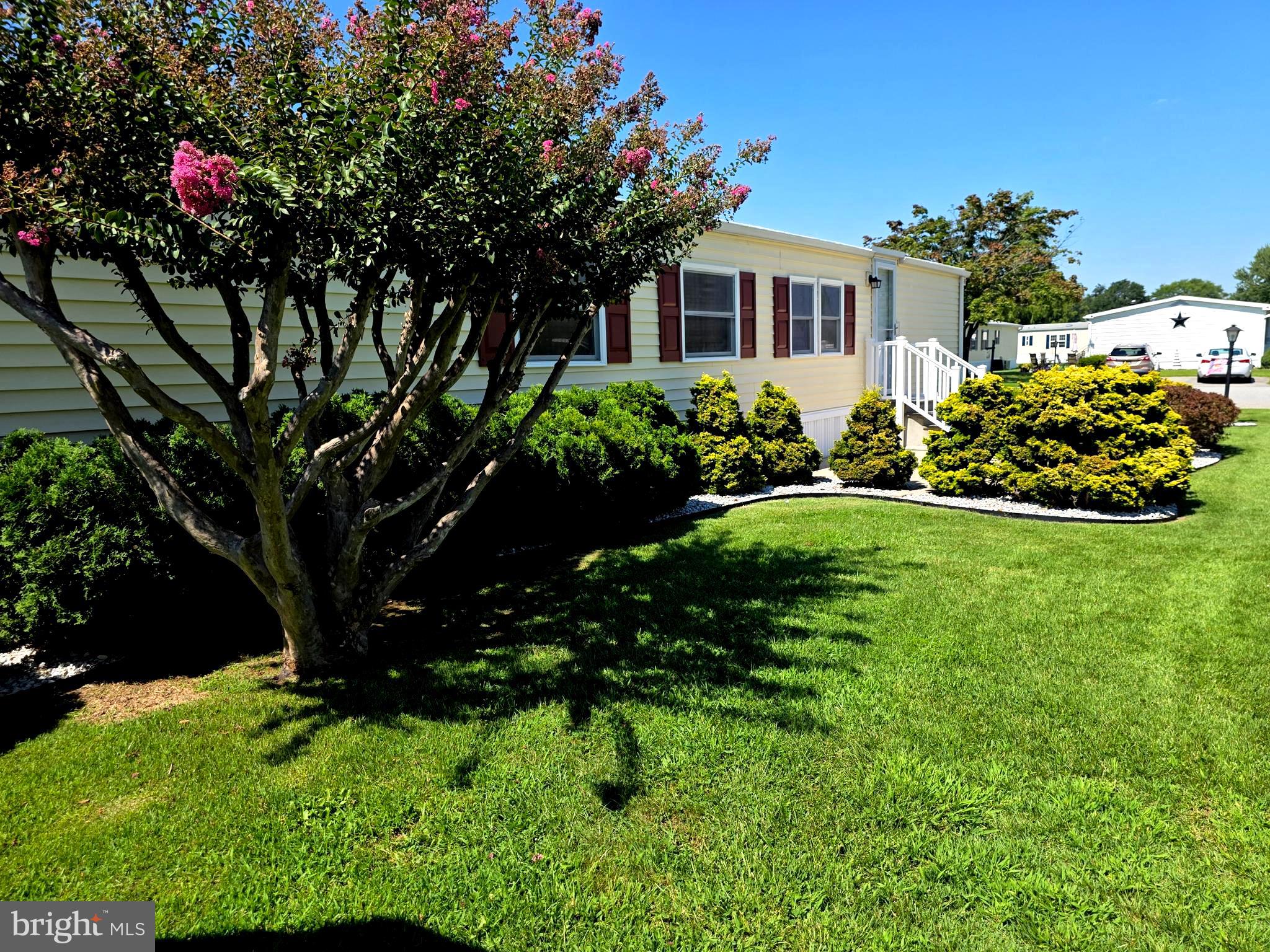 20 BRANCHWOOD DRIVE