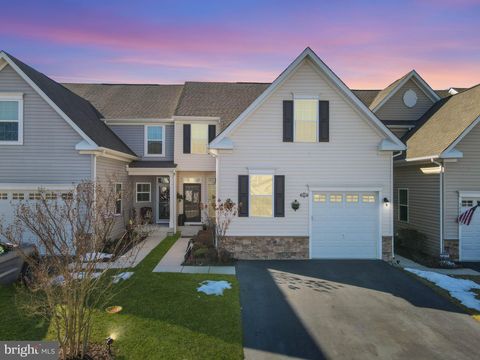 30067 PLANTATION DRIVE MILLSBORO DE 19966