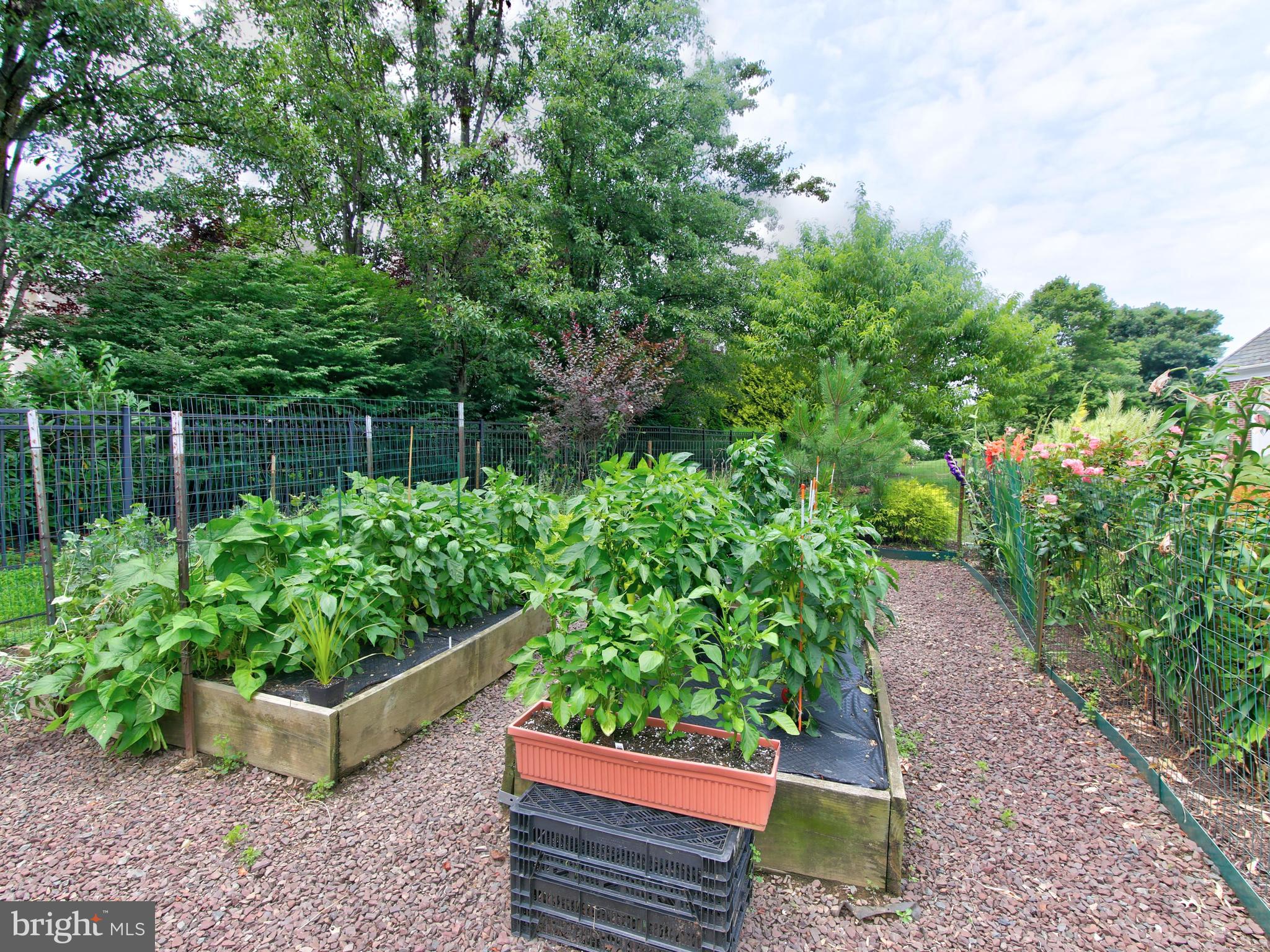 FIVORMOR - Residential