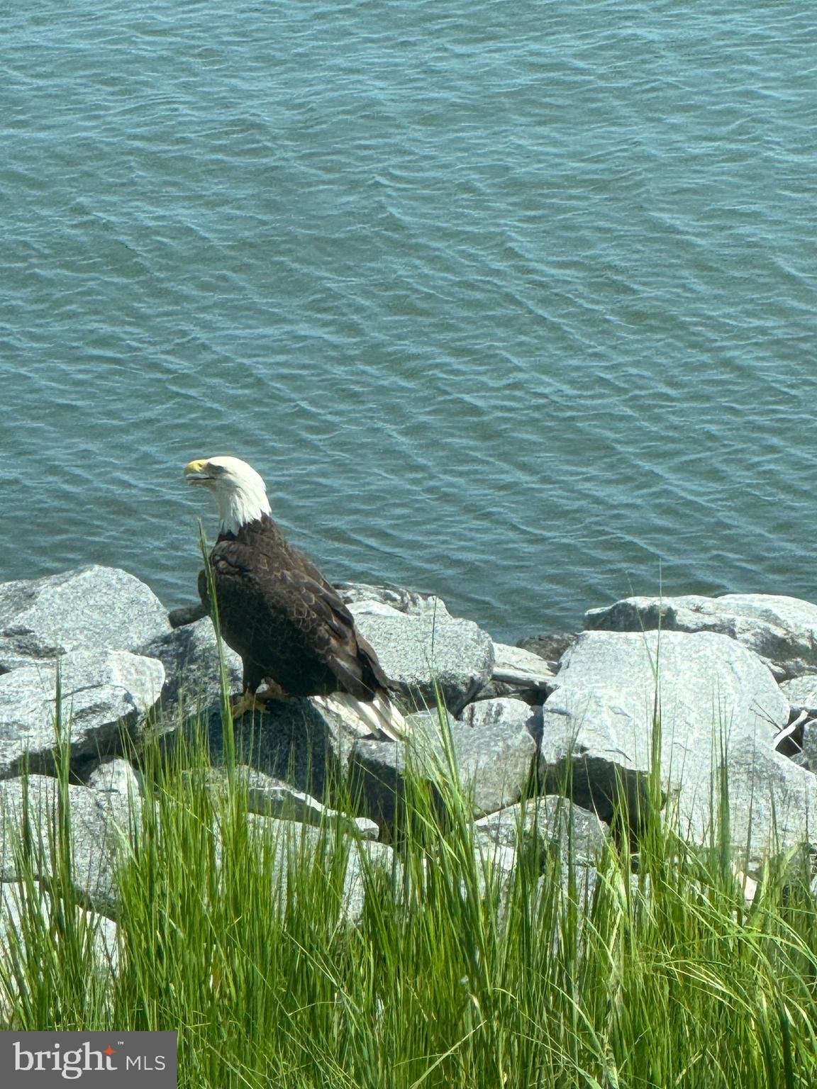 NARROWS POINTE - Residential