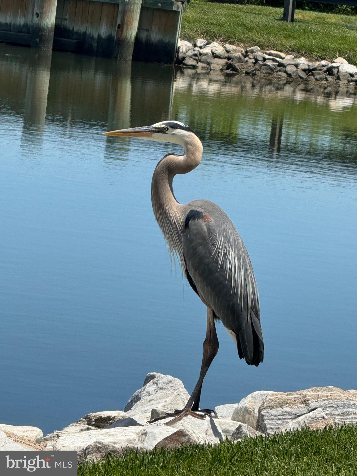 NARROWS POINTE - Residential