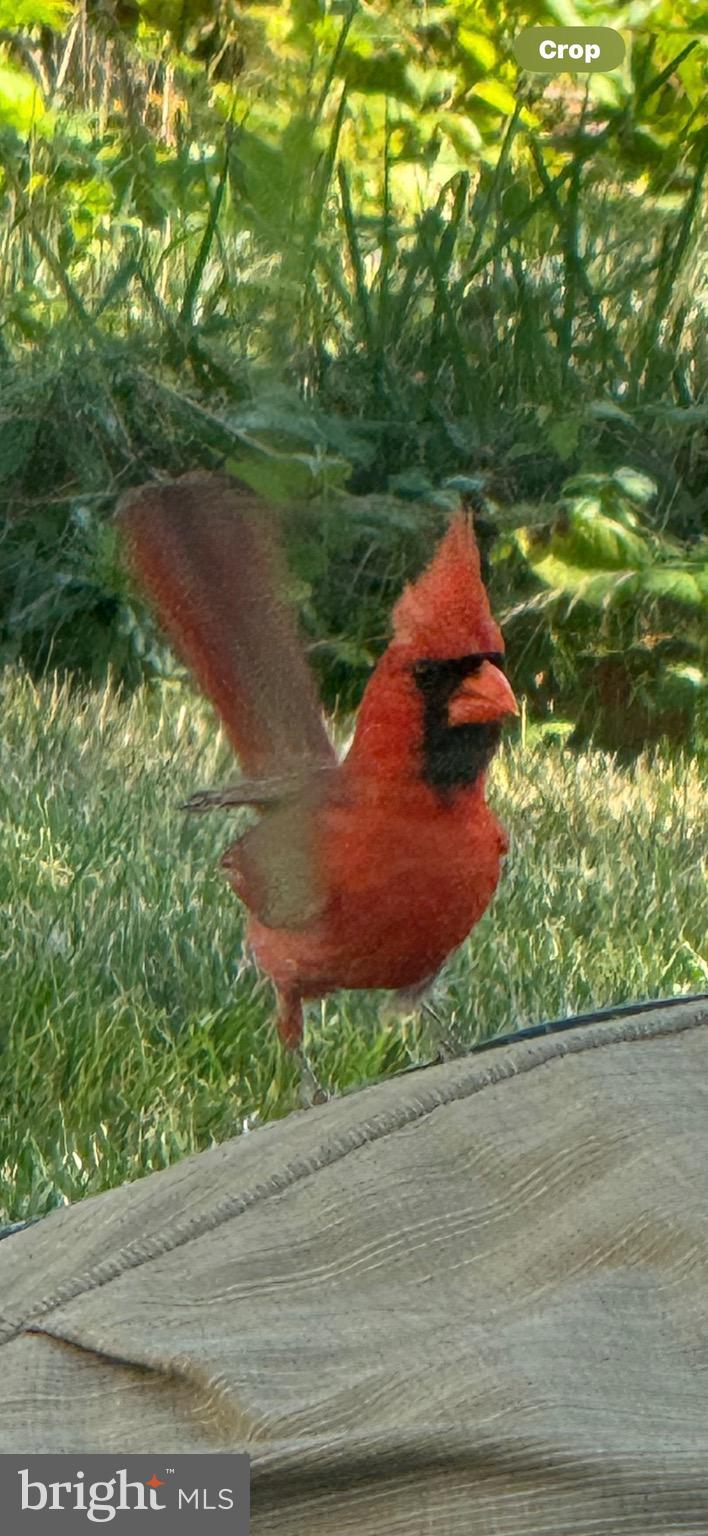 NARROWS POINTE - Residential