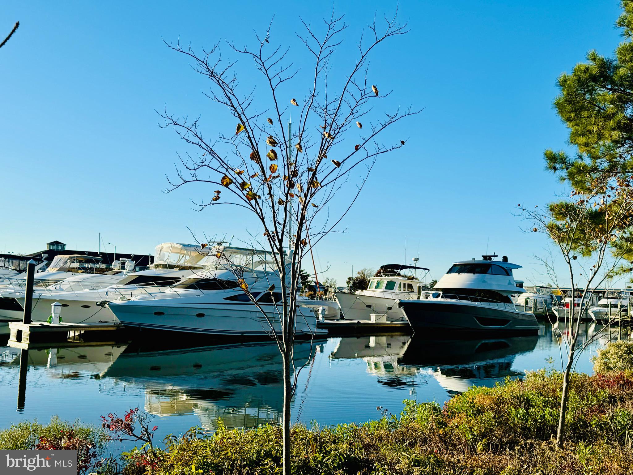 NARROWS POINTE - Residential