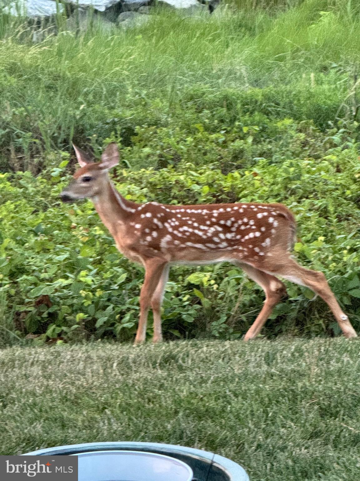 NARROWS POINTE - Residential