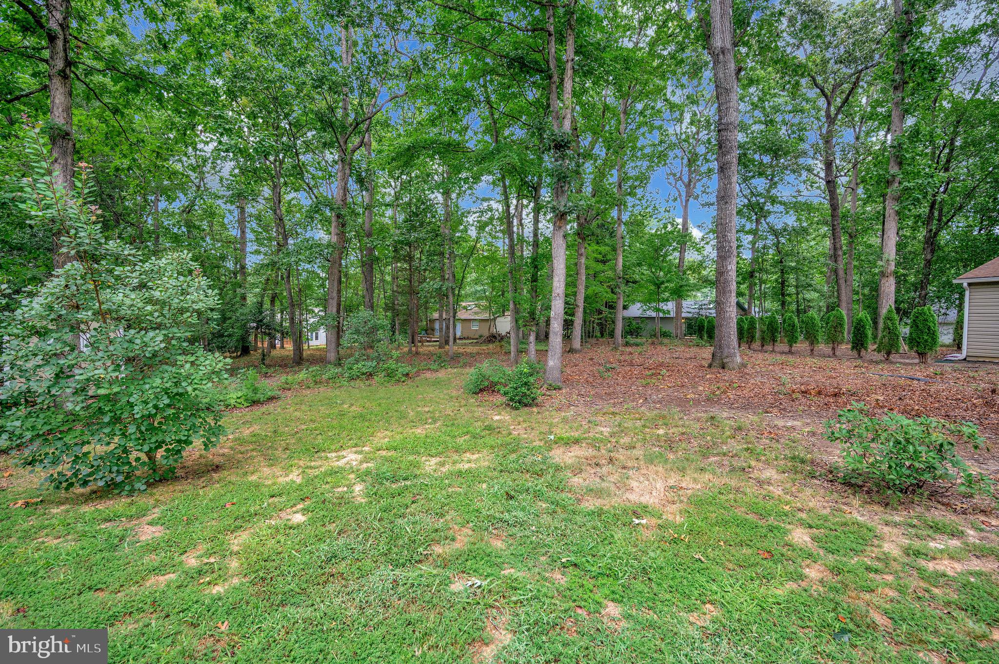 LAKE OF THE WOODS - Residential