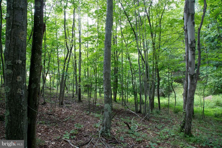Located on Pleasant Dale Road in Largent WV. Here's a nice 3.41 Wooded Acres, Building Lot with Cacapon River Access. An excellent price so come out for a look. Additional 3.88 acres avalible lot #11.