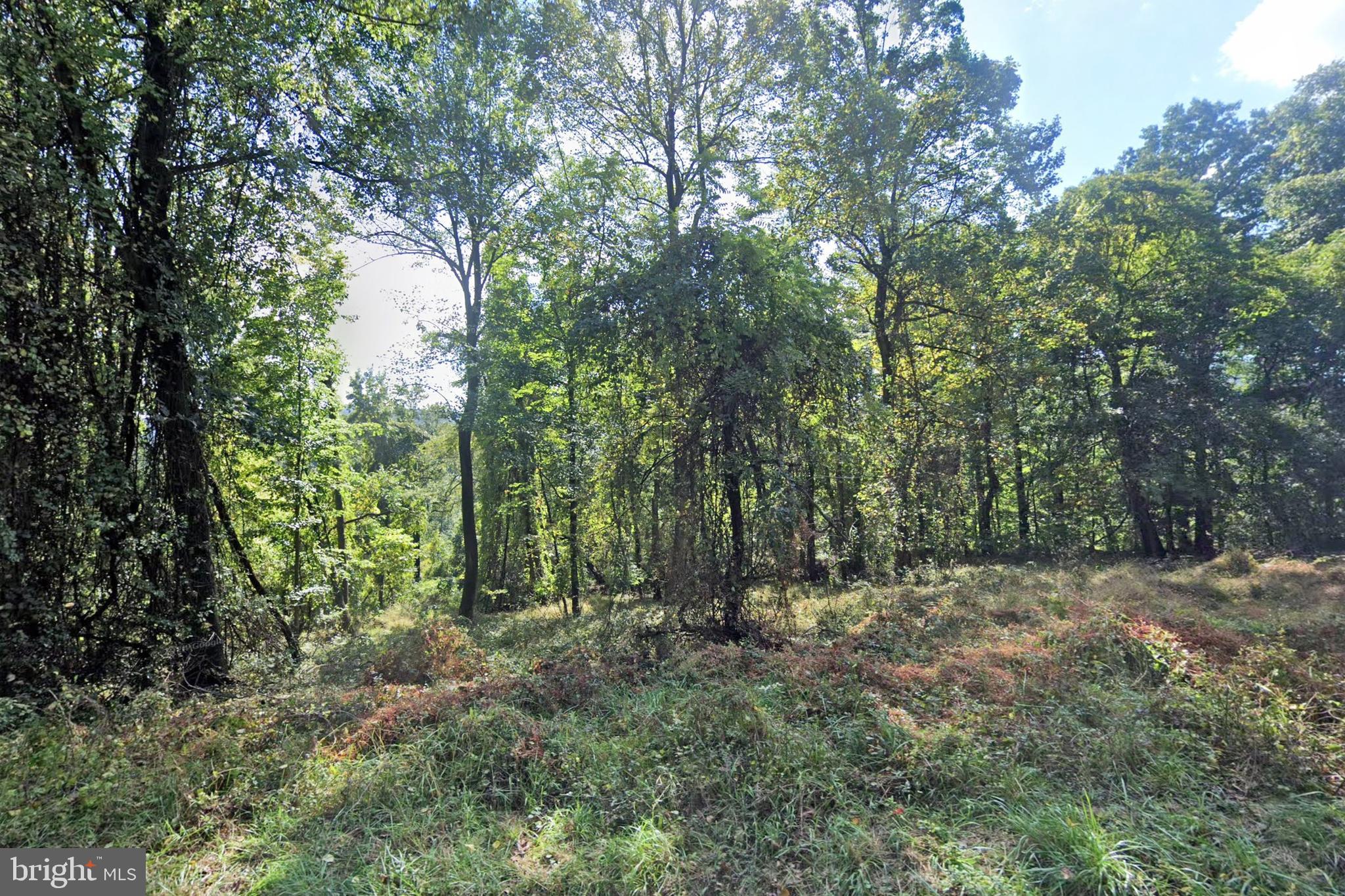 CARROLL VALLEY BOROUGH - Land