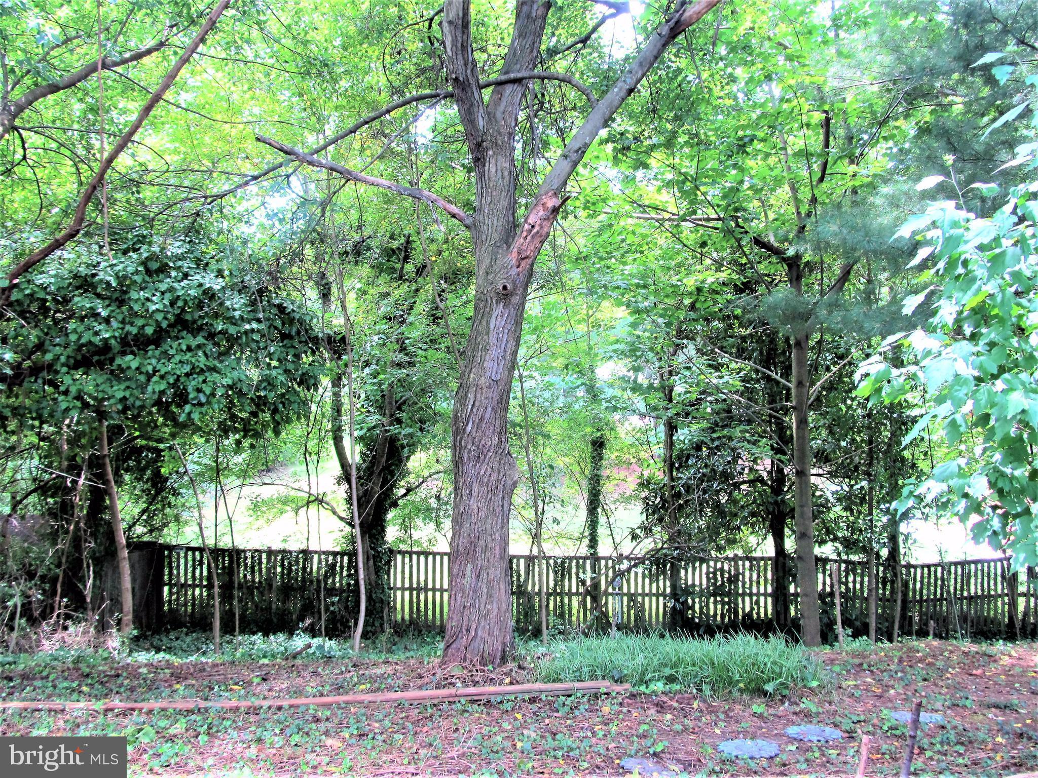 POINTER RIDGE - Residential