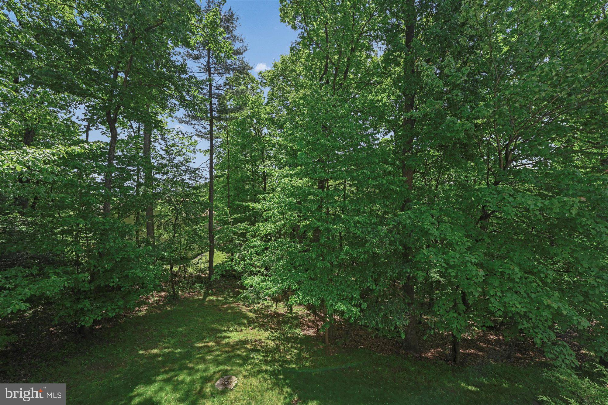 LAKE WYNONAH - Residential