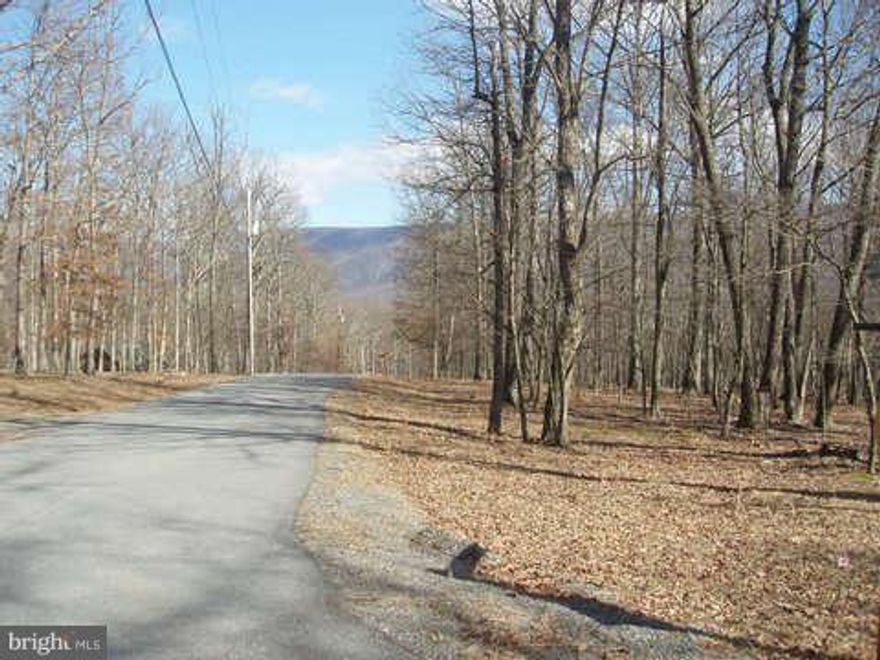 River Ridge  5.47 Wooded Acres featuring a corner lot which allows for various choices of building sites.   Nicely maintained common area on the Cacapon River with BBQ pits, picnic tables, and bath house. With gated access, this community offers you that added comfort when building your dream weekend retreat.