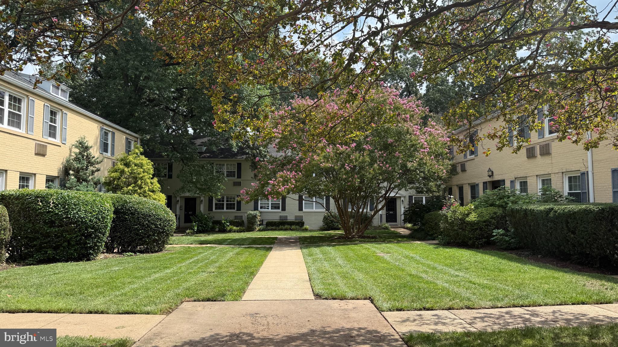105 N GEORGE MASON DRIVE 1053