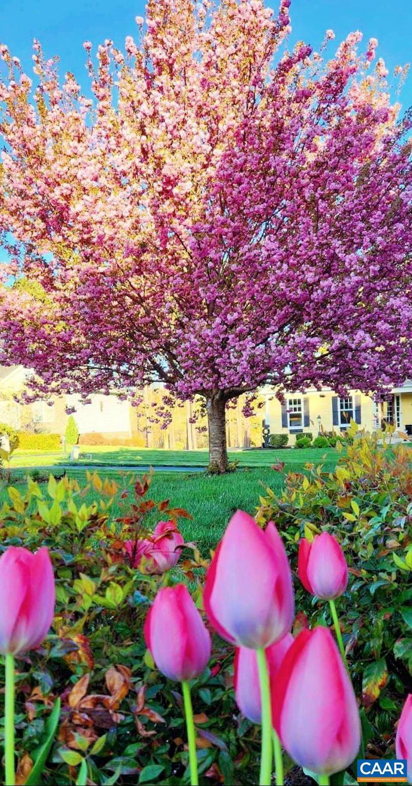 SPRING CREEK - Residential