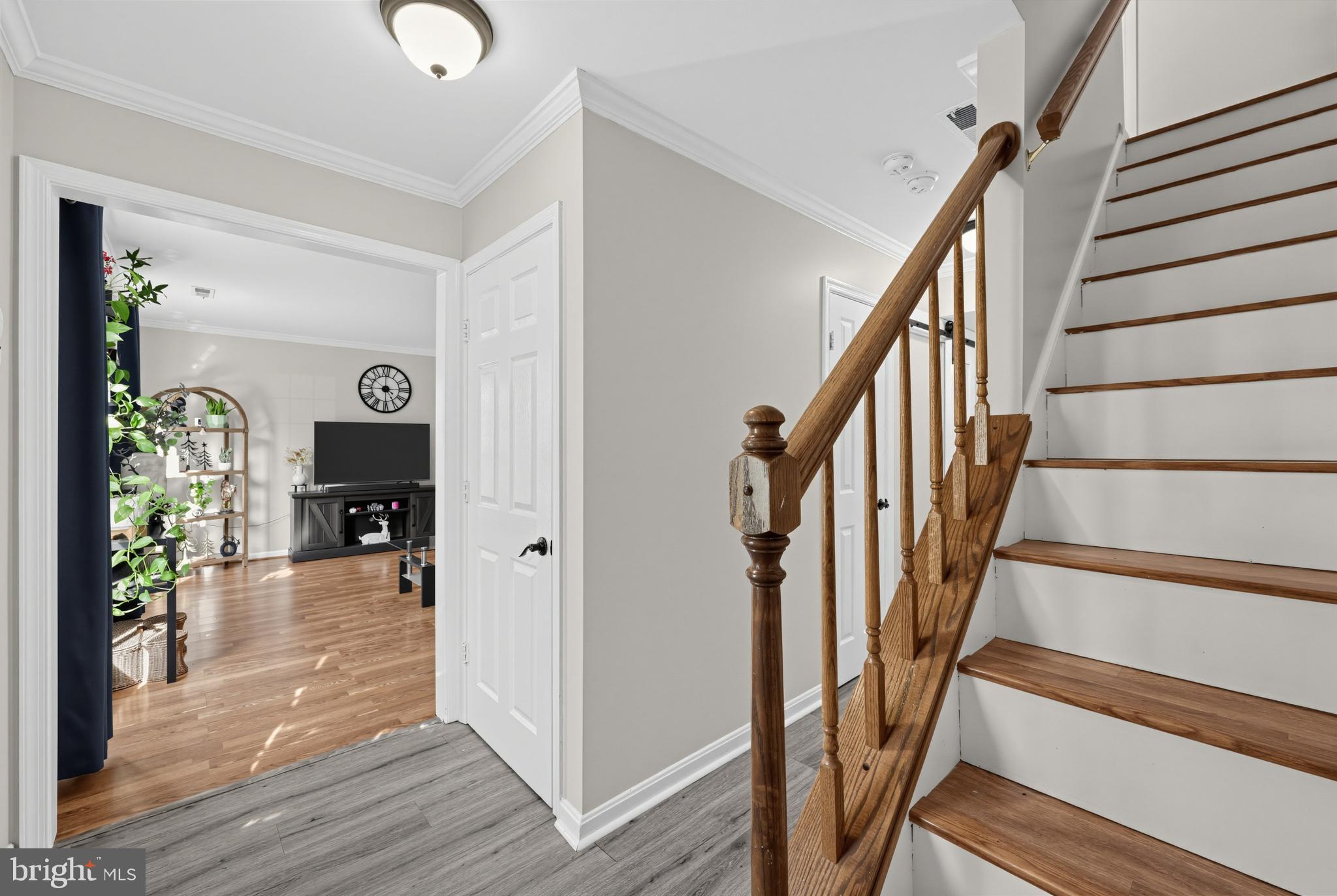 6615 COUGAR COURT