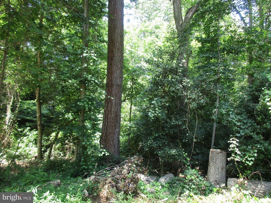 Chance to build your custom home and join a community with other homes