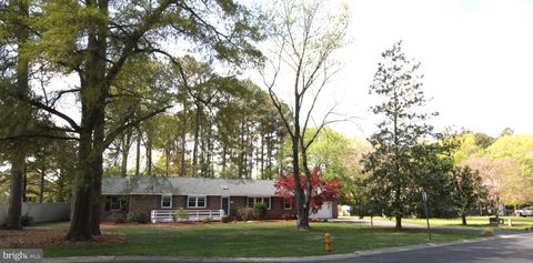 1036 S SCHUMAKER DRIVE SALISBURY MD 21804