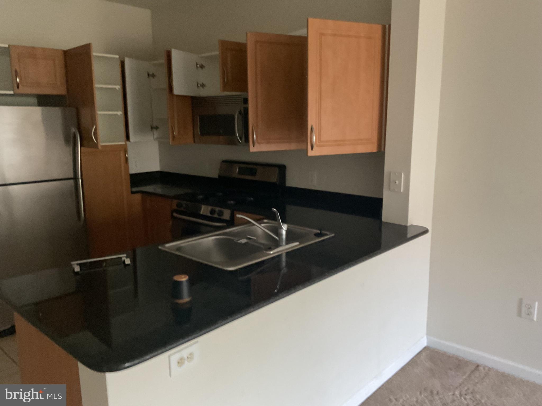 BRYSON AT WOODLAND PARK - Residential