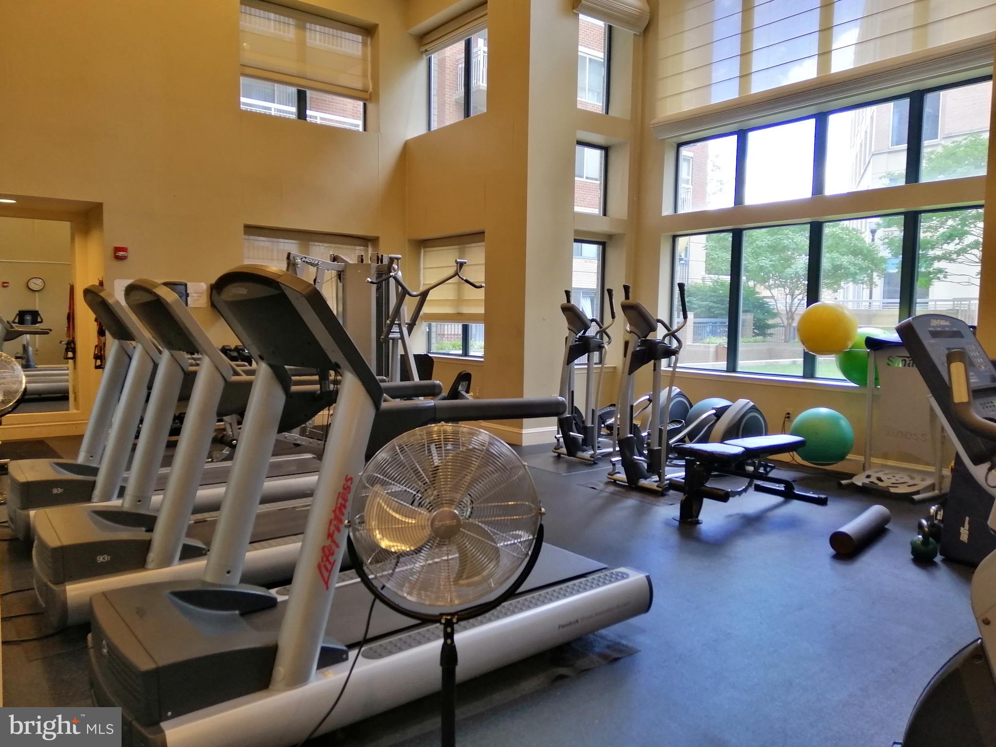 LEXINGTON SQUARE - Residential Lease