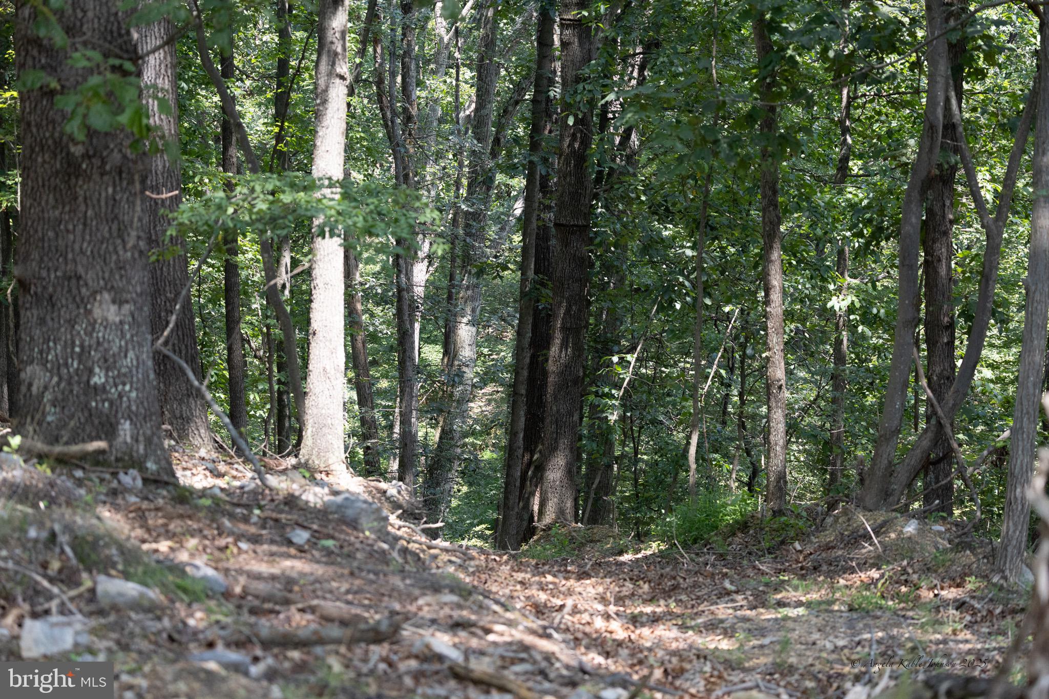 Lot 54 TEARDROP TRAIL