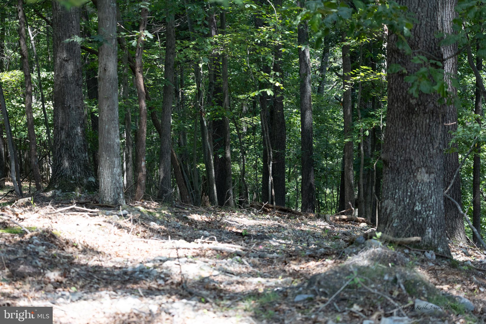 Lot 54 TEARDROP TRAIL