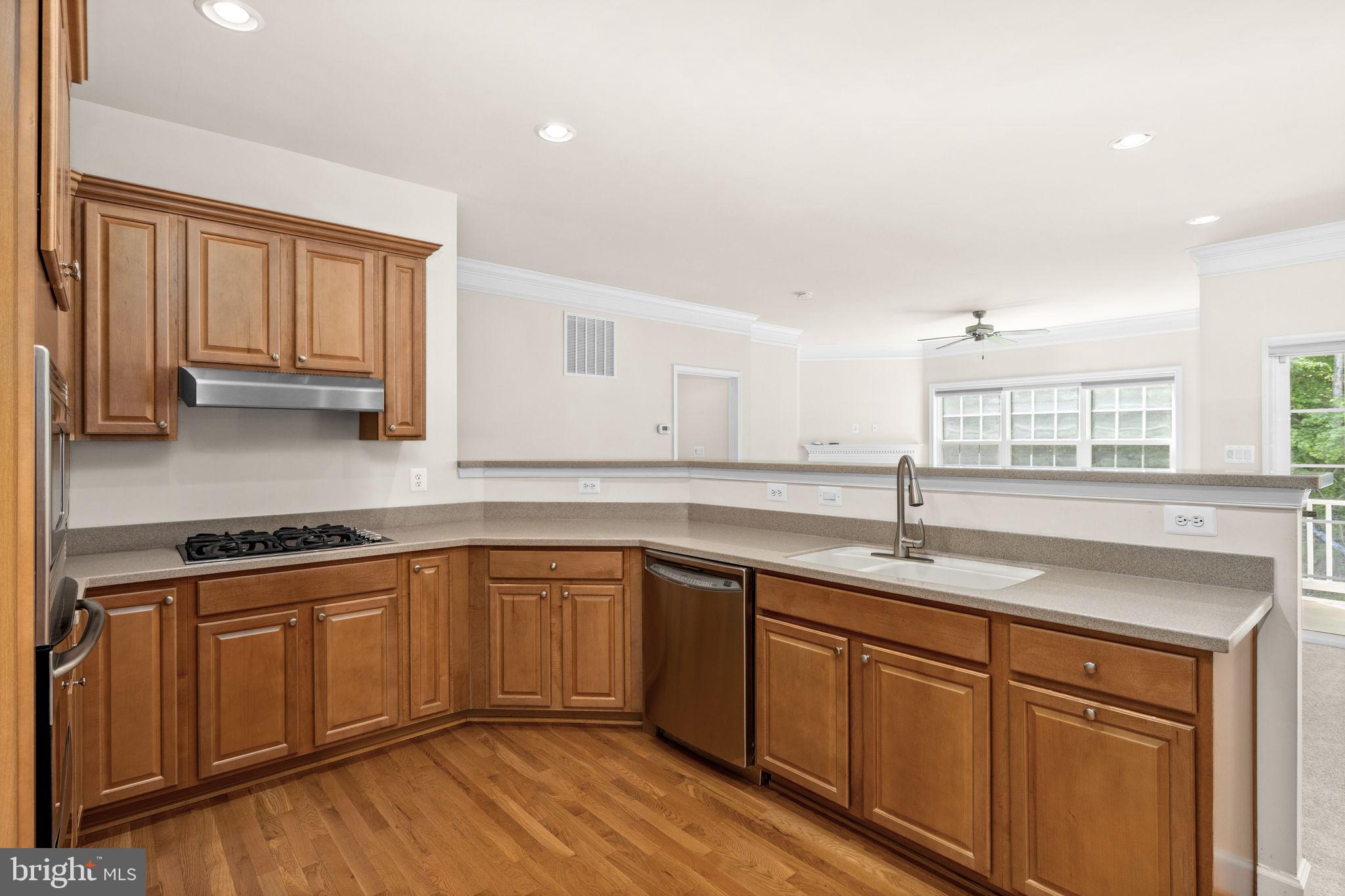 VIRGINIA HERITAGE AT LEE'S PARK - Residential