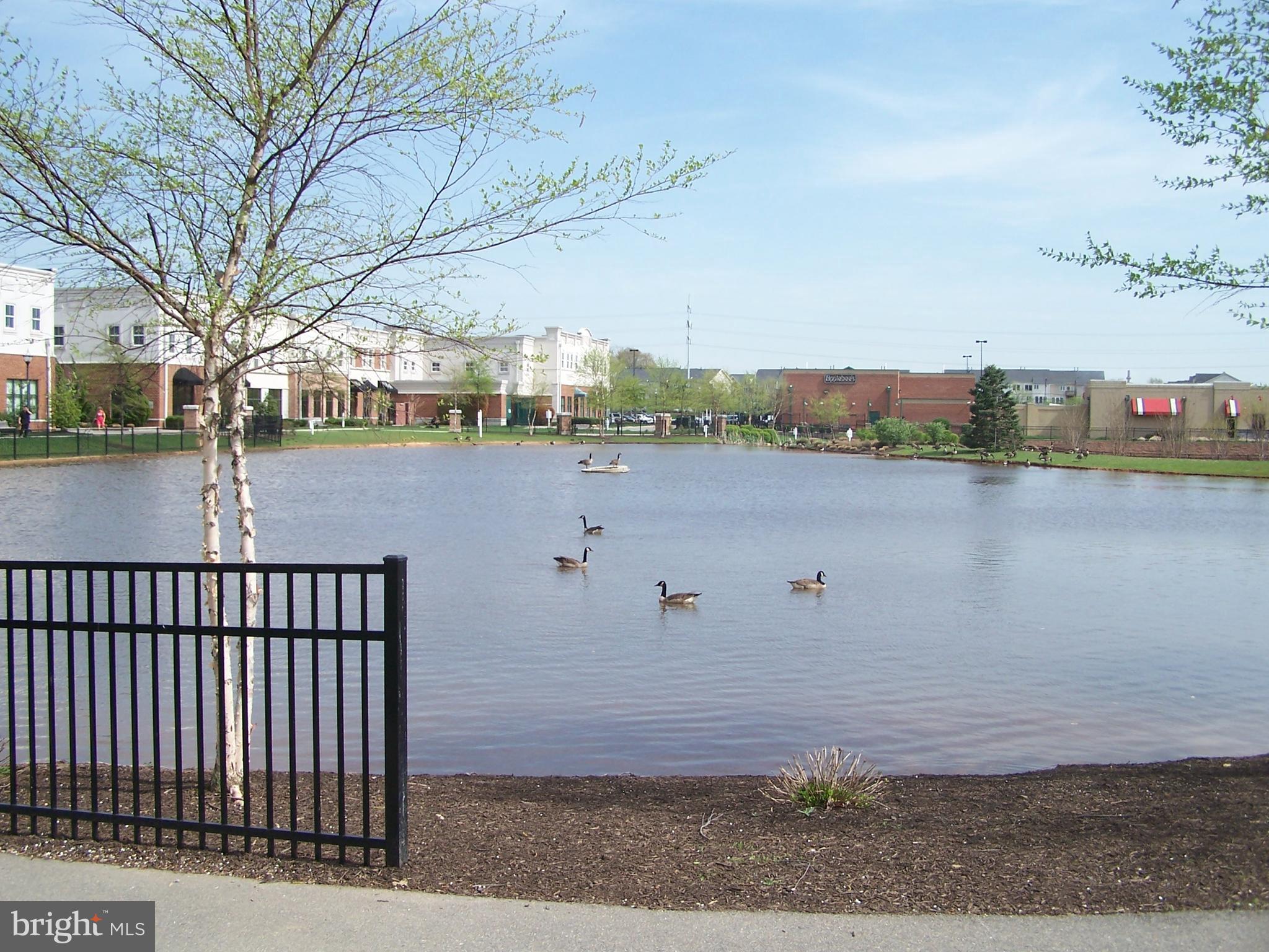 VILLAGE AT WAUGH CHAPEL - Residential