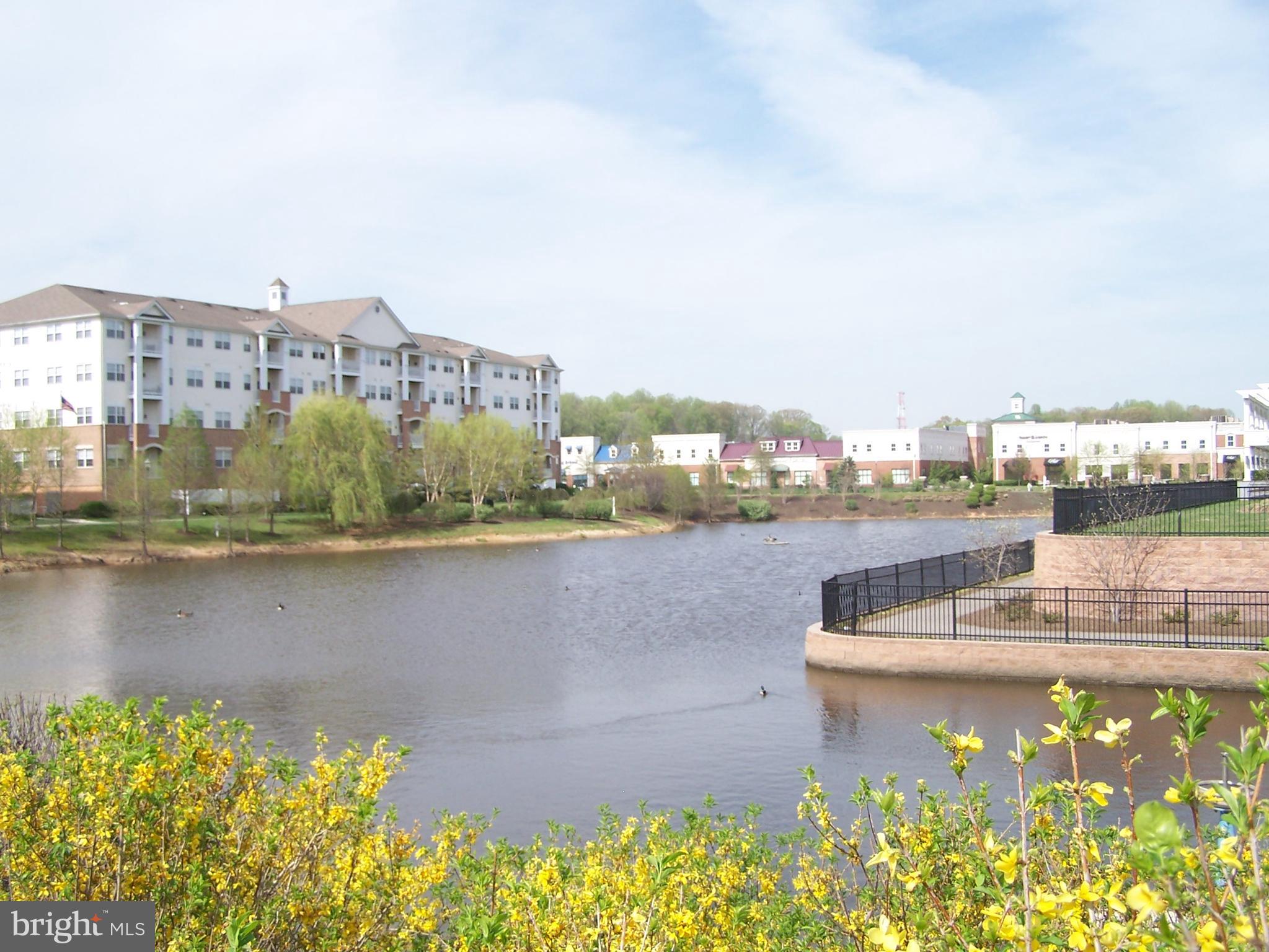 VILLAGE AT WAUGH CHAPEL - Residential