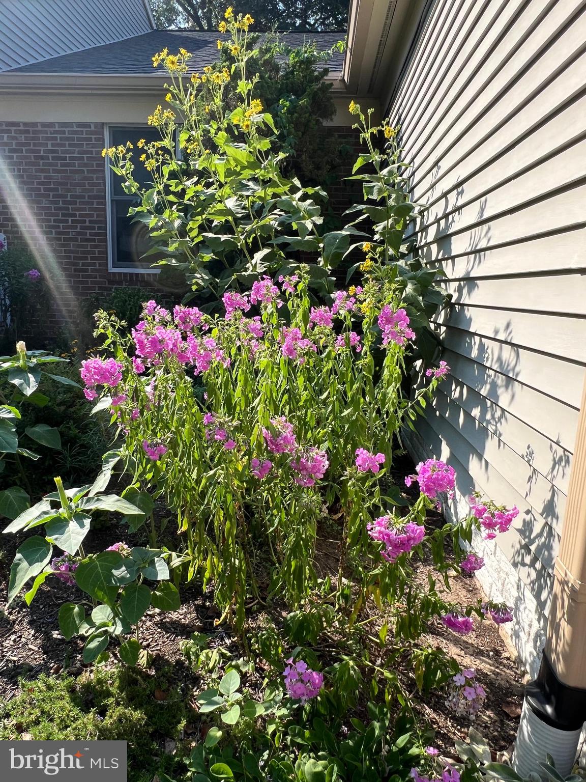 QUARTERFIELD FARMS - Residential