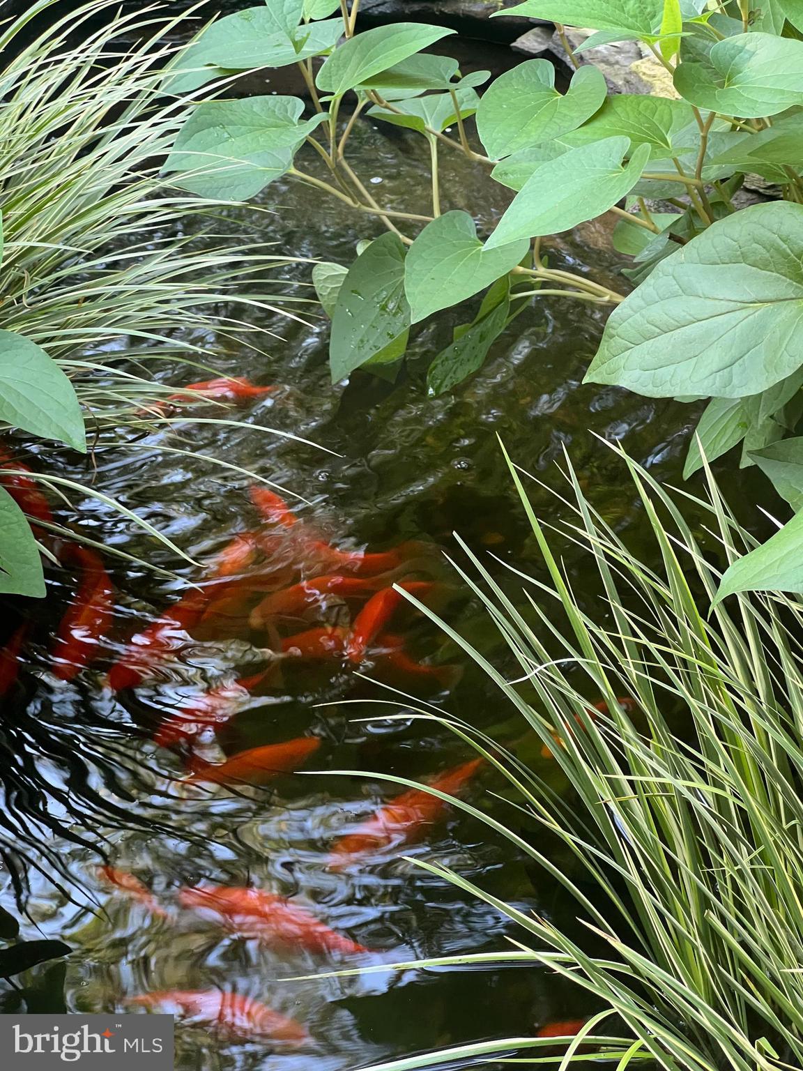 QUARTERFIELD FARMS - Residential