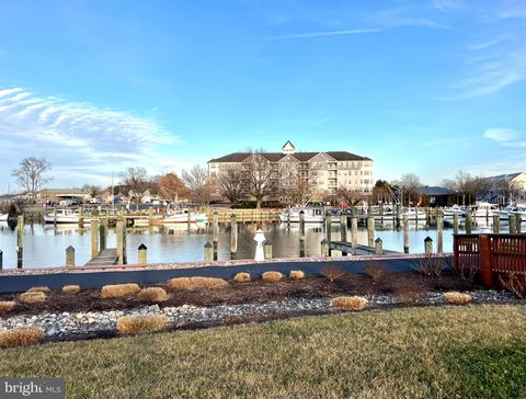 700 CATTAIL COVE 412 CAMBRIDGE MD 21613