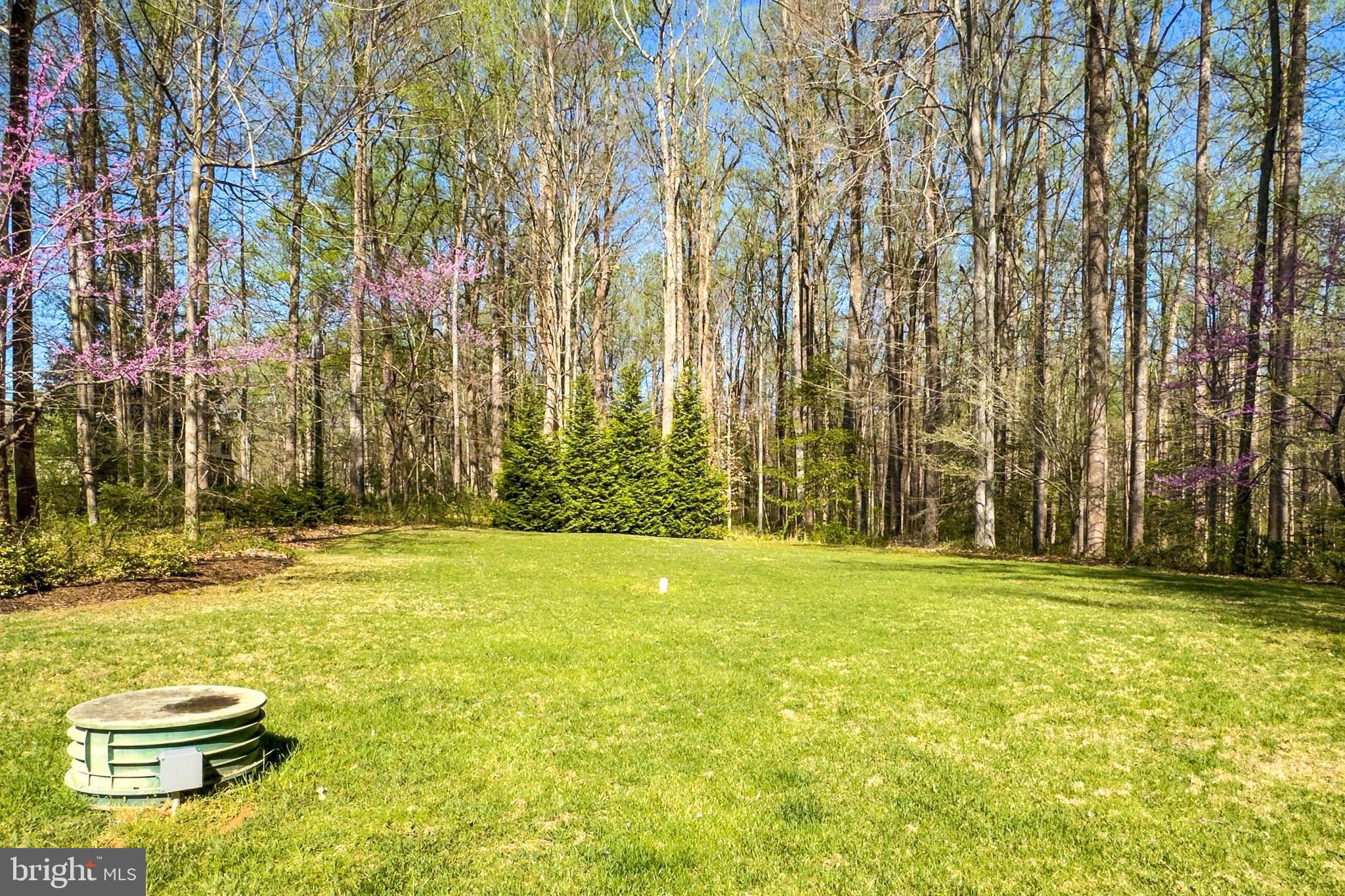 THE SINGING WOODS - Residential