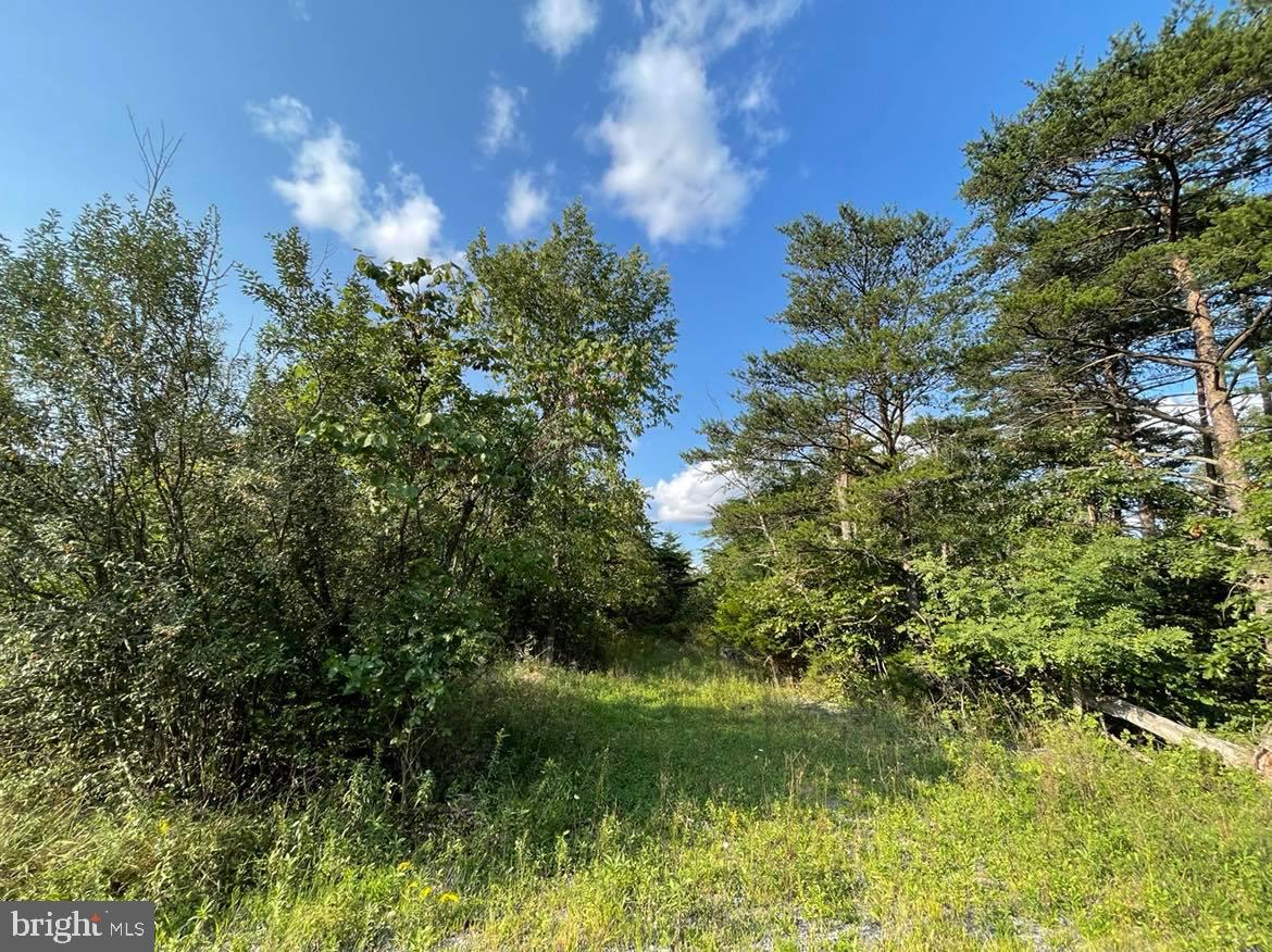 APPLE ORCHARD ACRES - Land