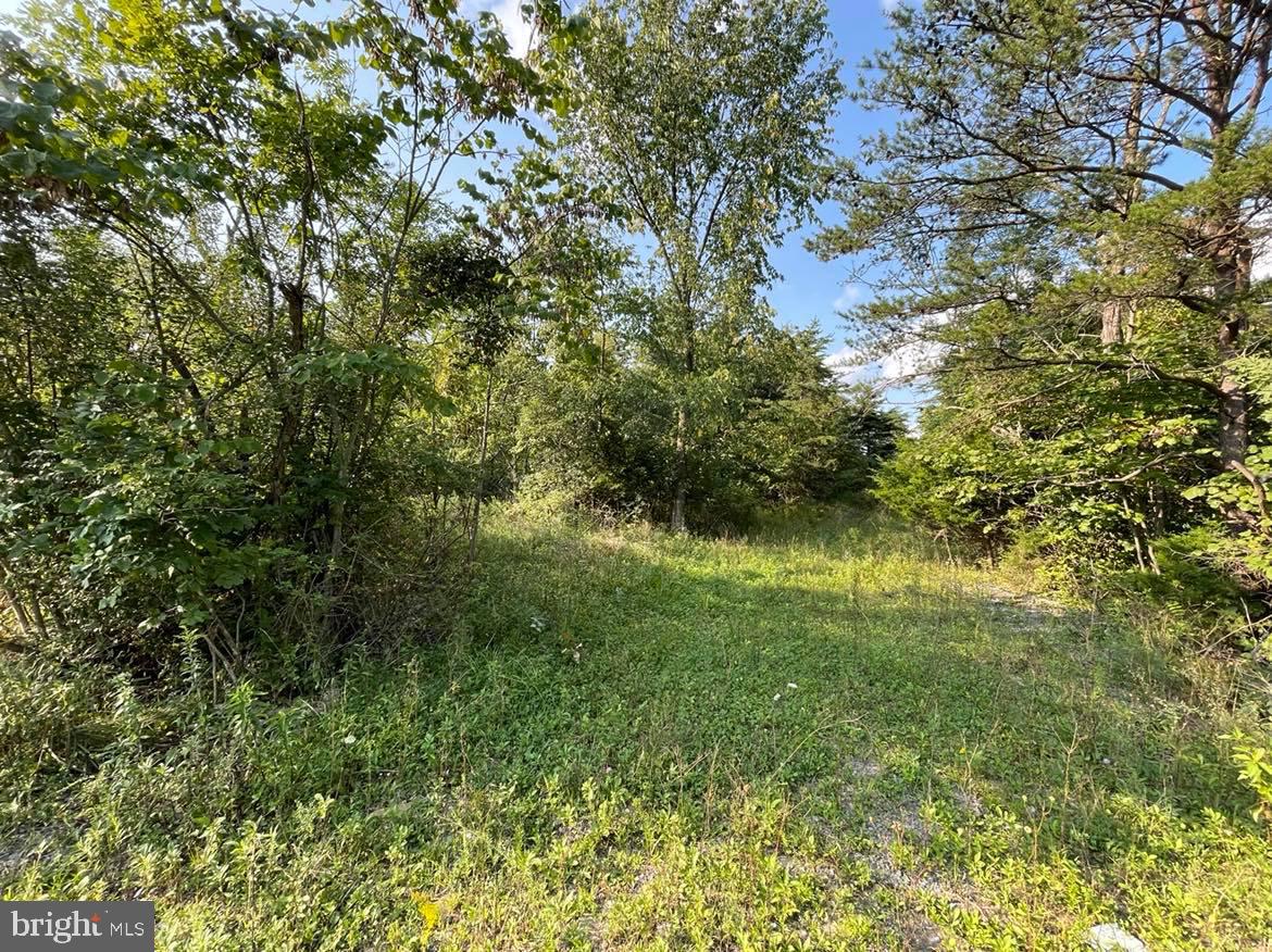 APPLE ORCHARD ACRES - Land